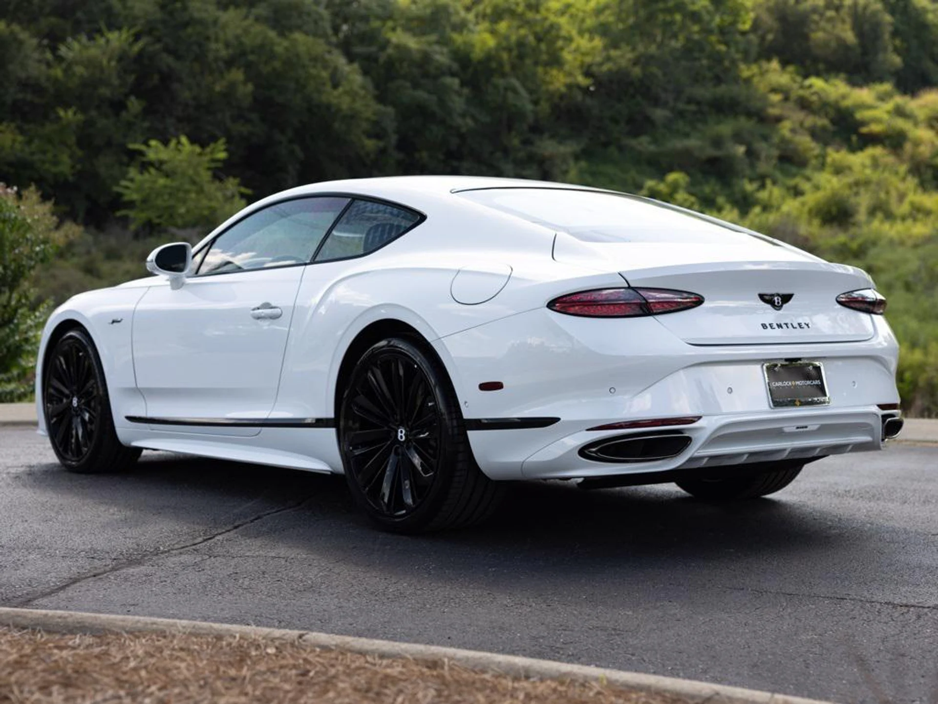 mph008_2309124539_444557827_689721e47845ae44b1fbf269_8147051ff6