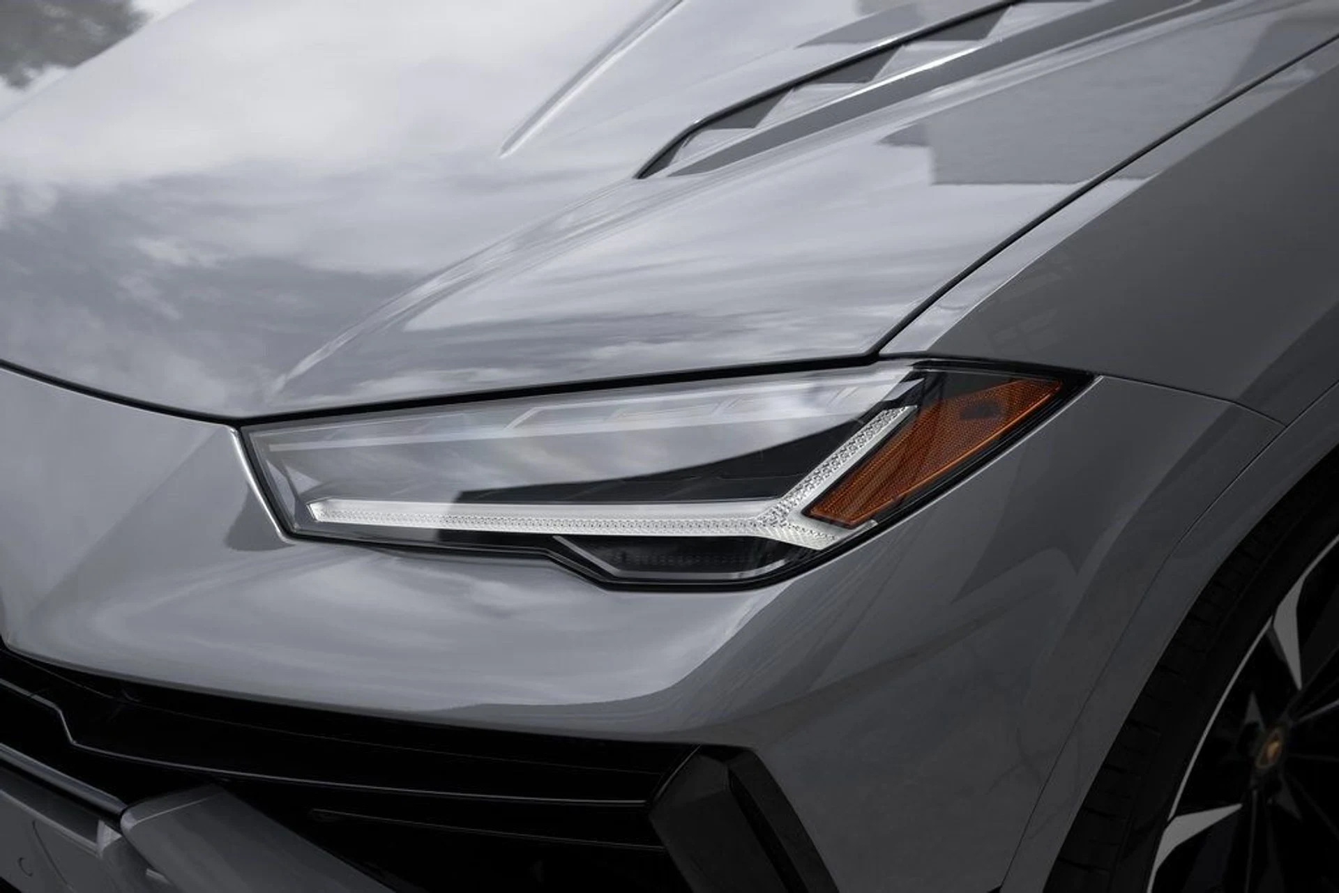 mph008_2314700996_d3c0991e69b71f59eaeec6e09b95967cx_5c347d20bc