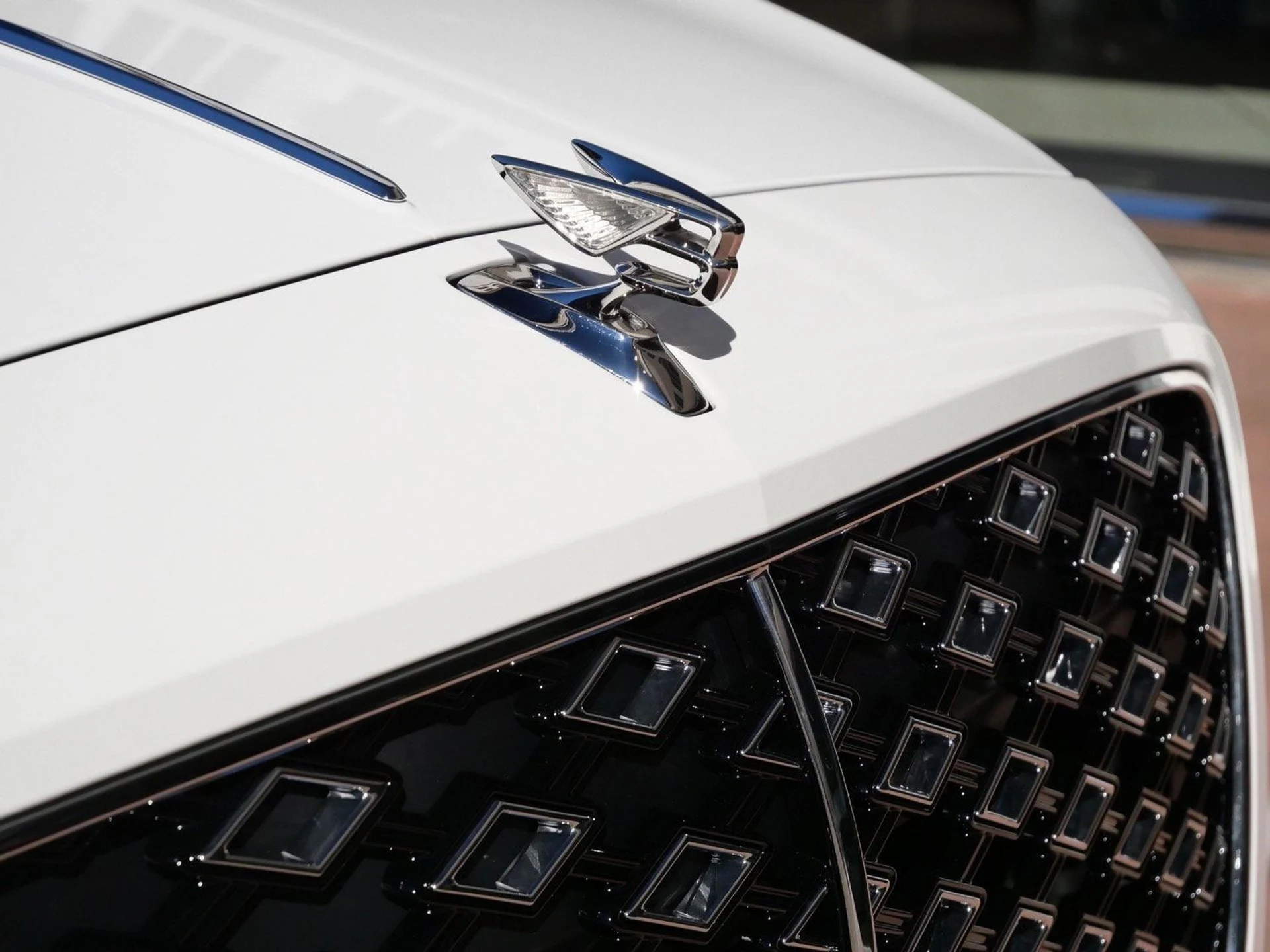 mph008_2370349555_b038b81f038a3334e32f5c647caf9620x_811b5e622c