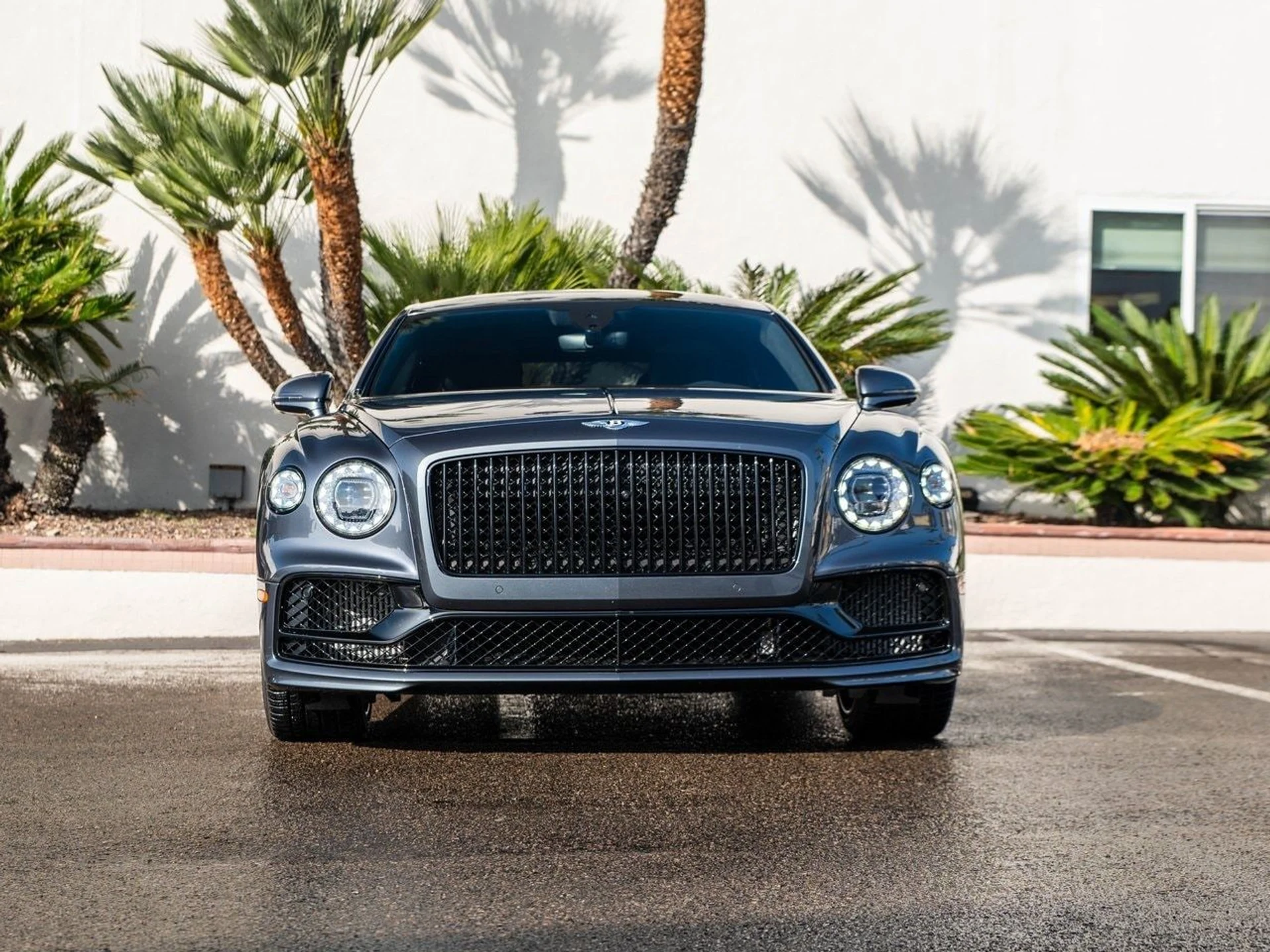 mph008_2395099066_441bd0a5a7d42285254804542ff121ecx_9c3cb7a995