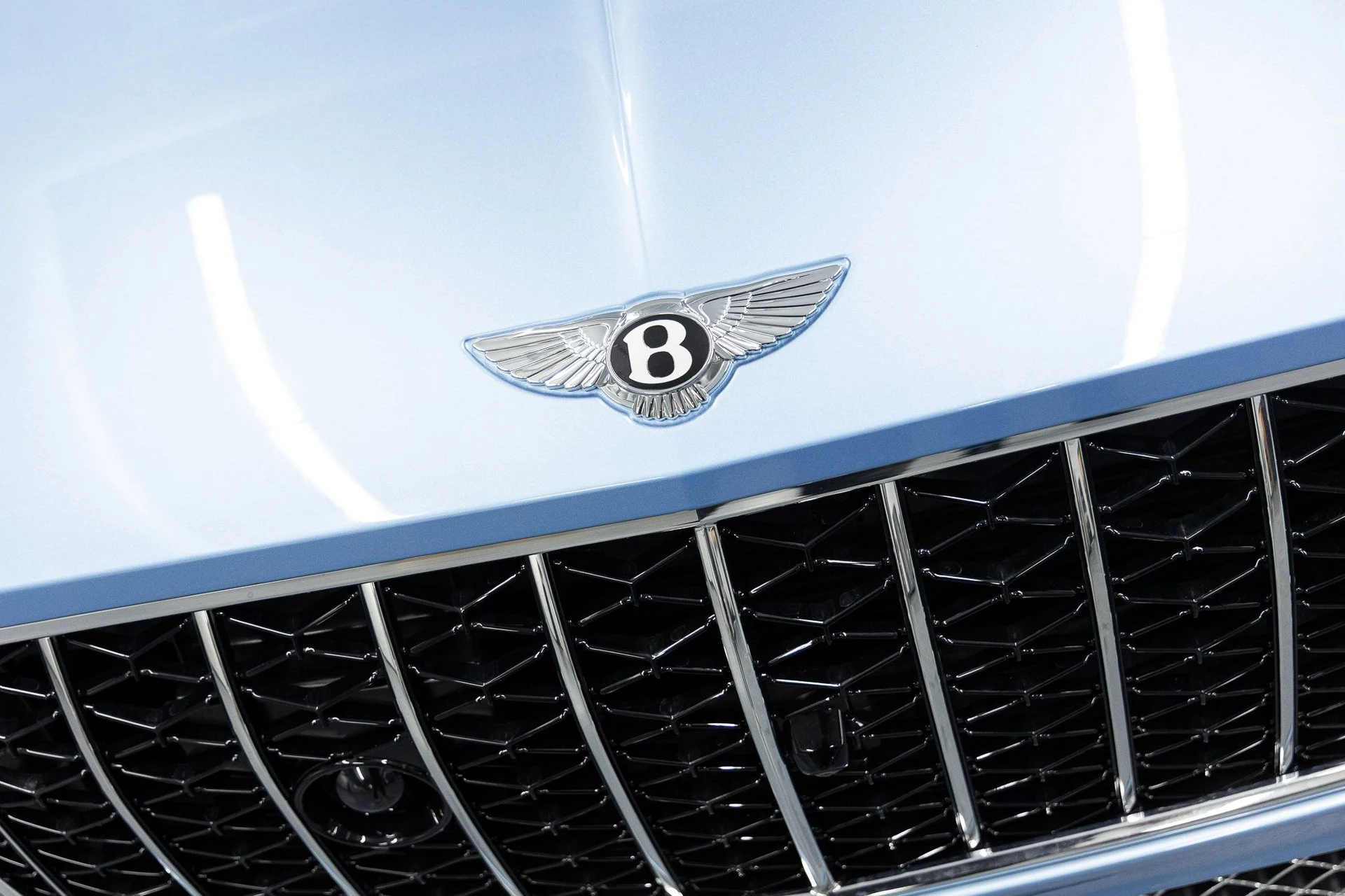 mph008_2411534631_bab2ad029e9dd5cf82dd282df62aa496x_c0ef620d72