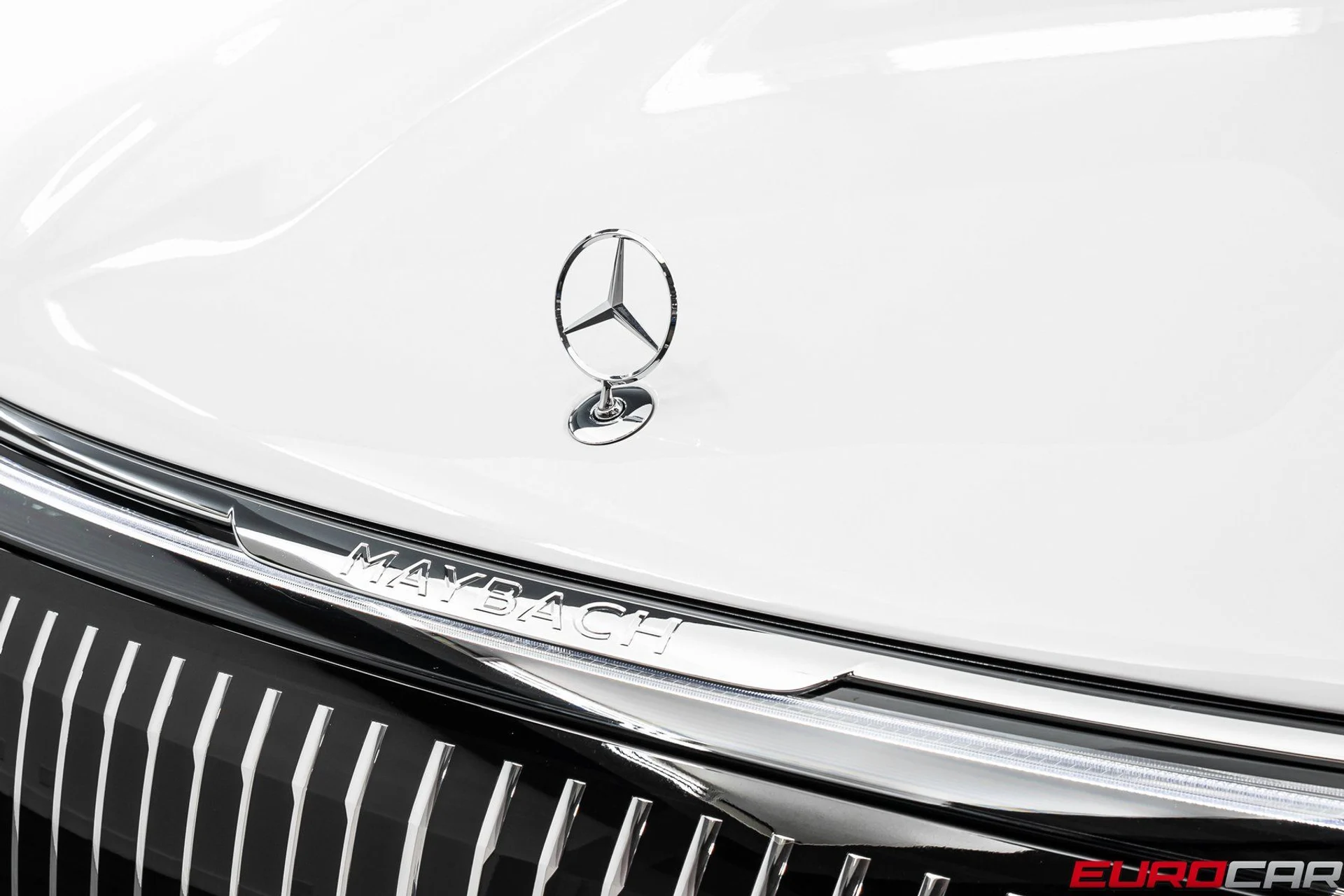 mph008_245318621_beb42369_a274_483b_80ea_df3dd118bc0e_f0c9552930