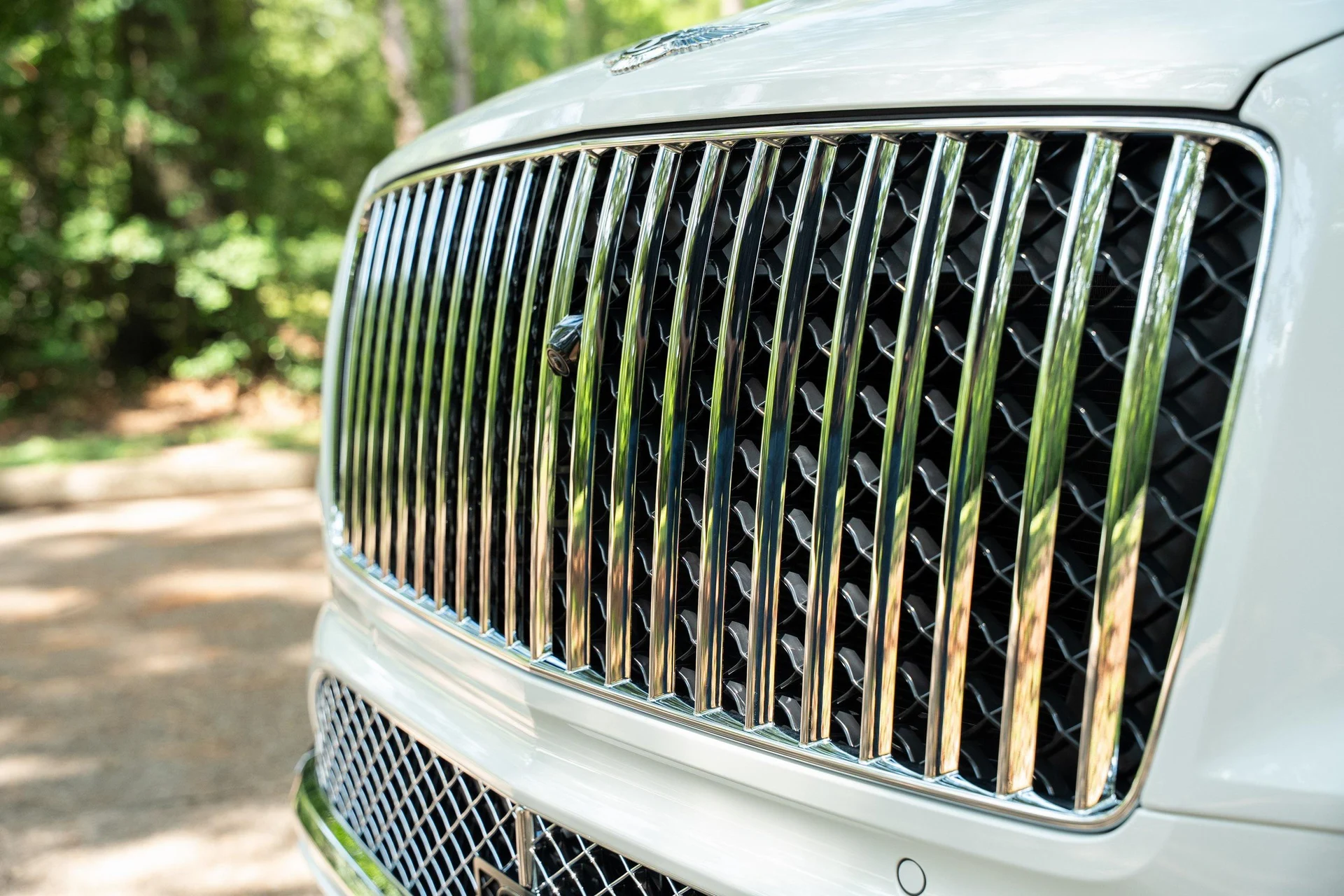 mph008_2469788225_442093801_689432913c08f0aab8b366c6_25eaa6ae6e