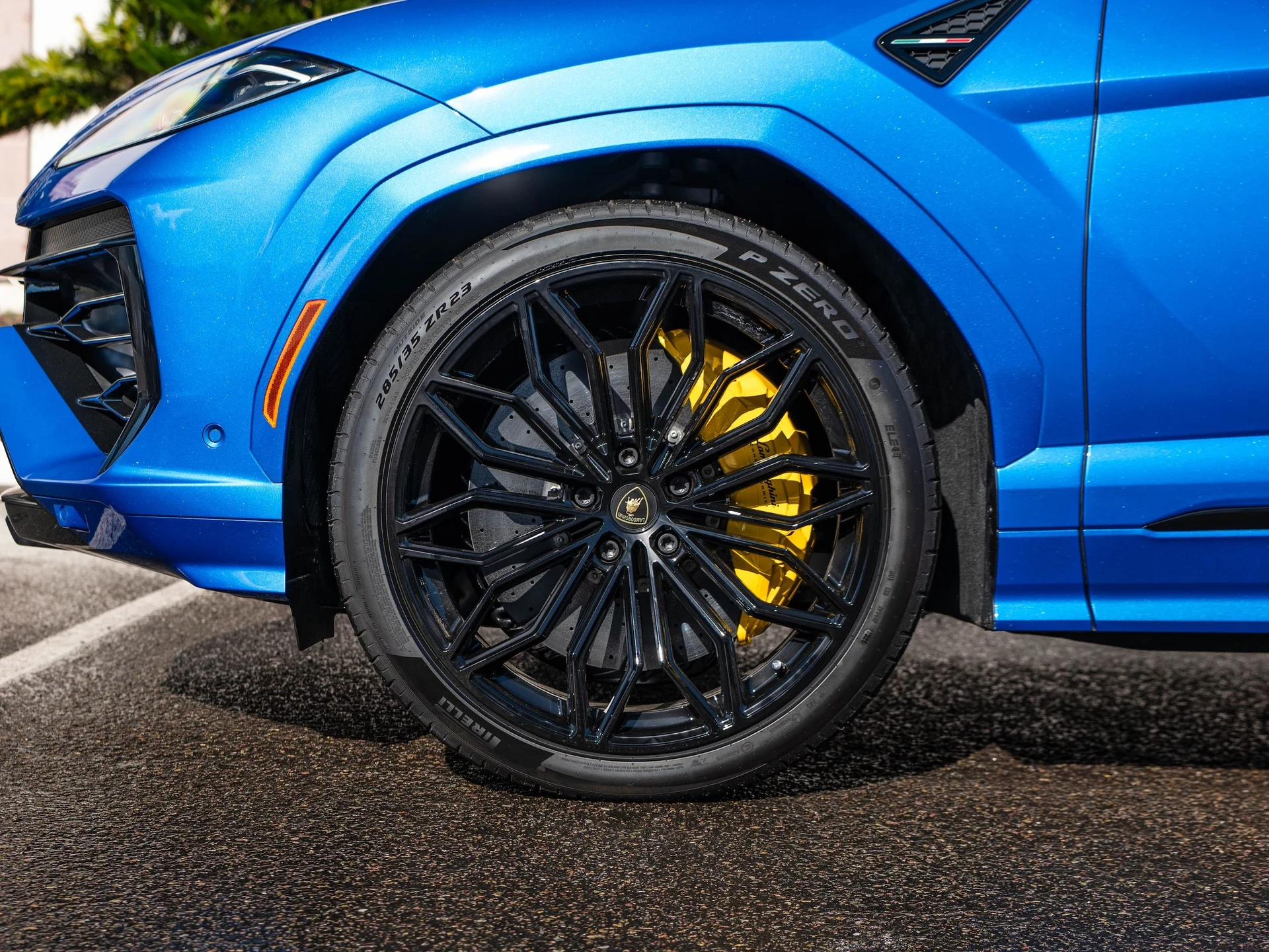 mph008_2484415820_78cbe3050aa54e76847094b4989d48e5_88a6fbb8ca