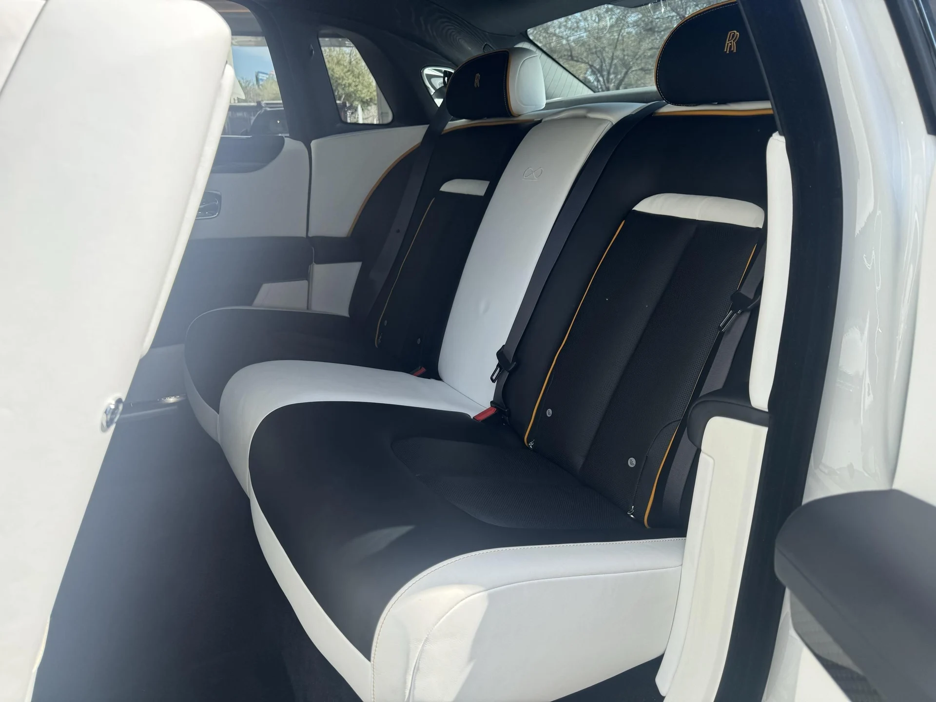 mph008_2485487719_496134955_698f5217481475a60166bcfd_e1deecaef6