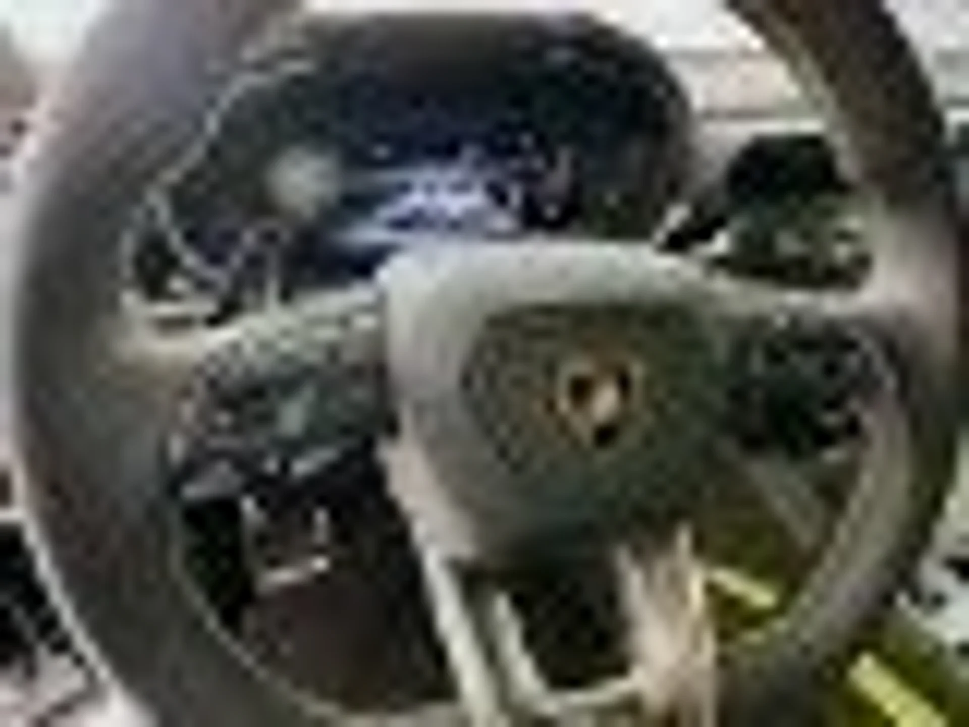 mph008_2487233732_71fbdf6779e3bcf4226943826432fc3bx_8cdb8f403e