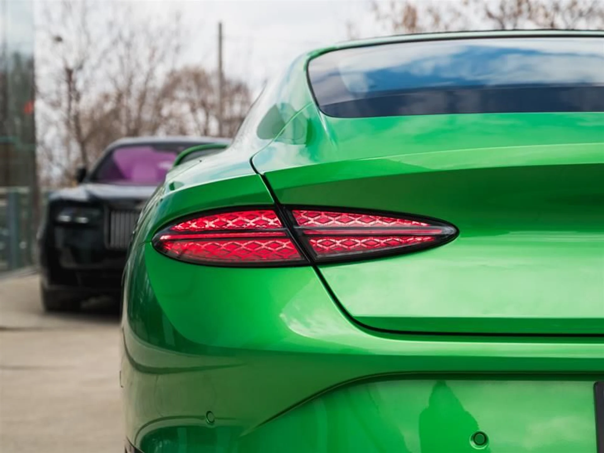 mph008_248929349_5gjwpyac_a0c9f46655