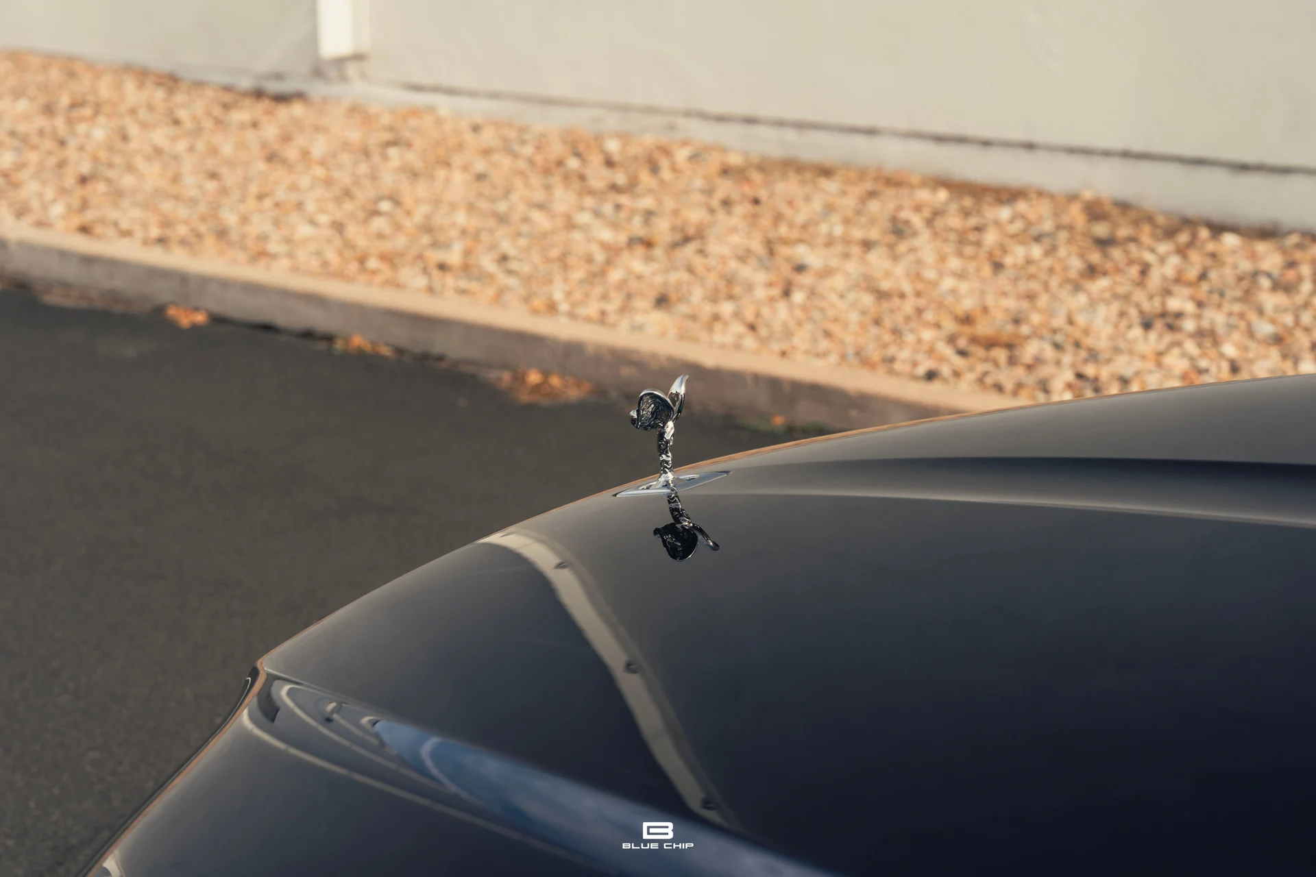 mph008_2518989125_688b8041a40b51045bbc0c64_DSC_09348_df612fc491