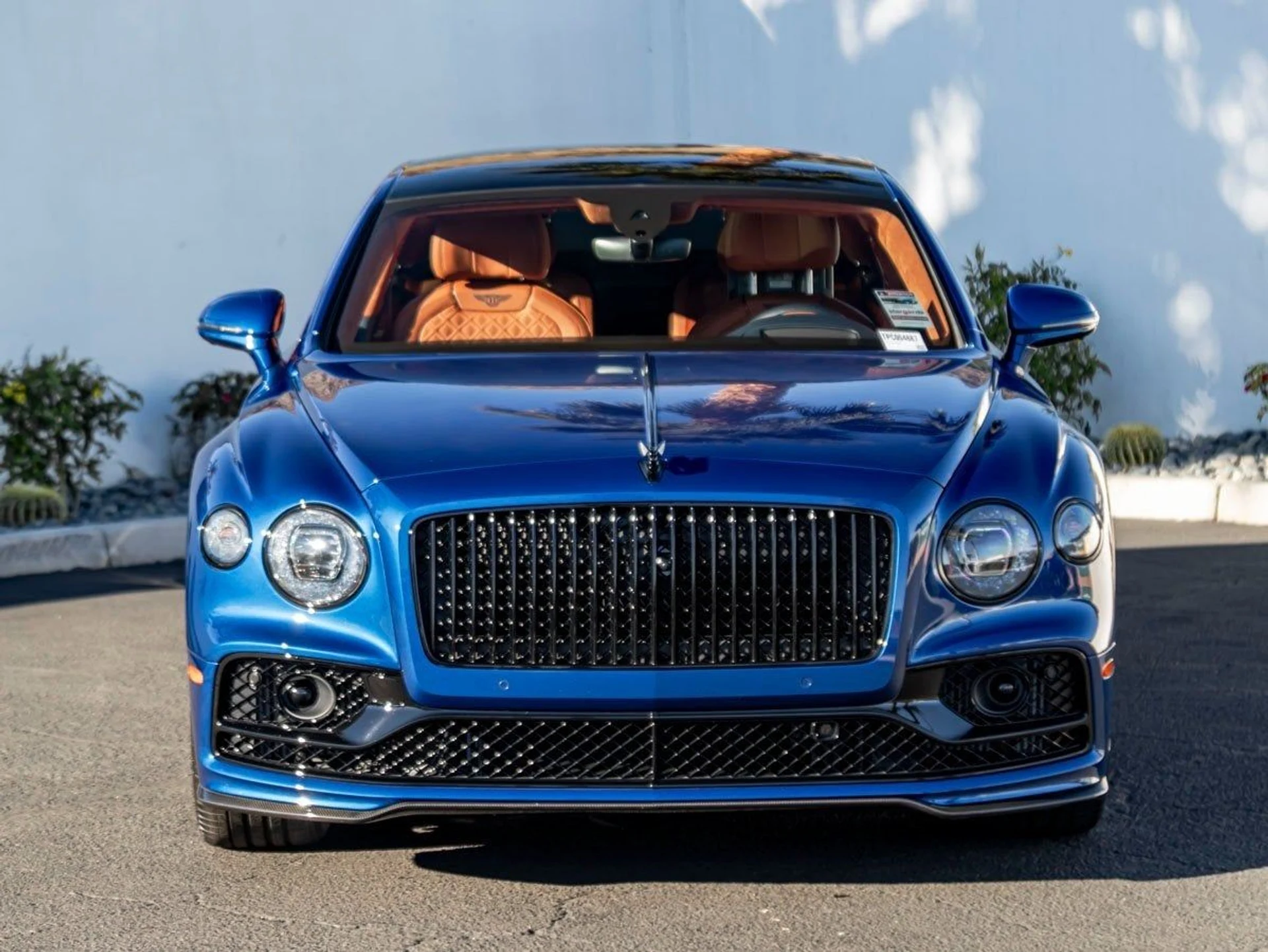 mph008_2523190411_9_e5577ea57f