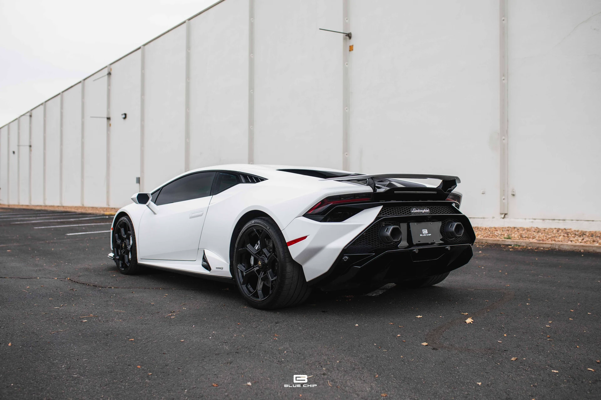 mph008_2559236335_69cefba4b1e34b77d6cb8612_93_A2923_29a206c2f2