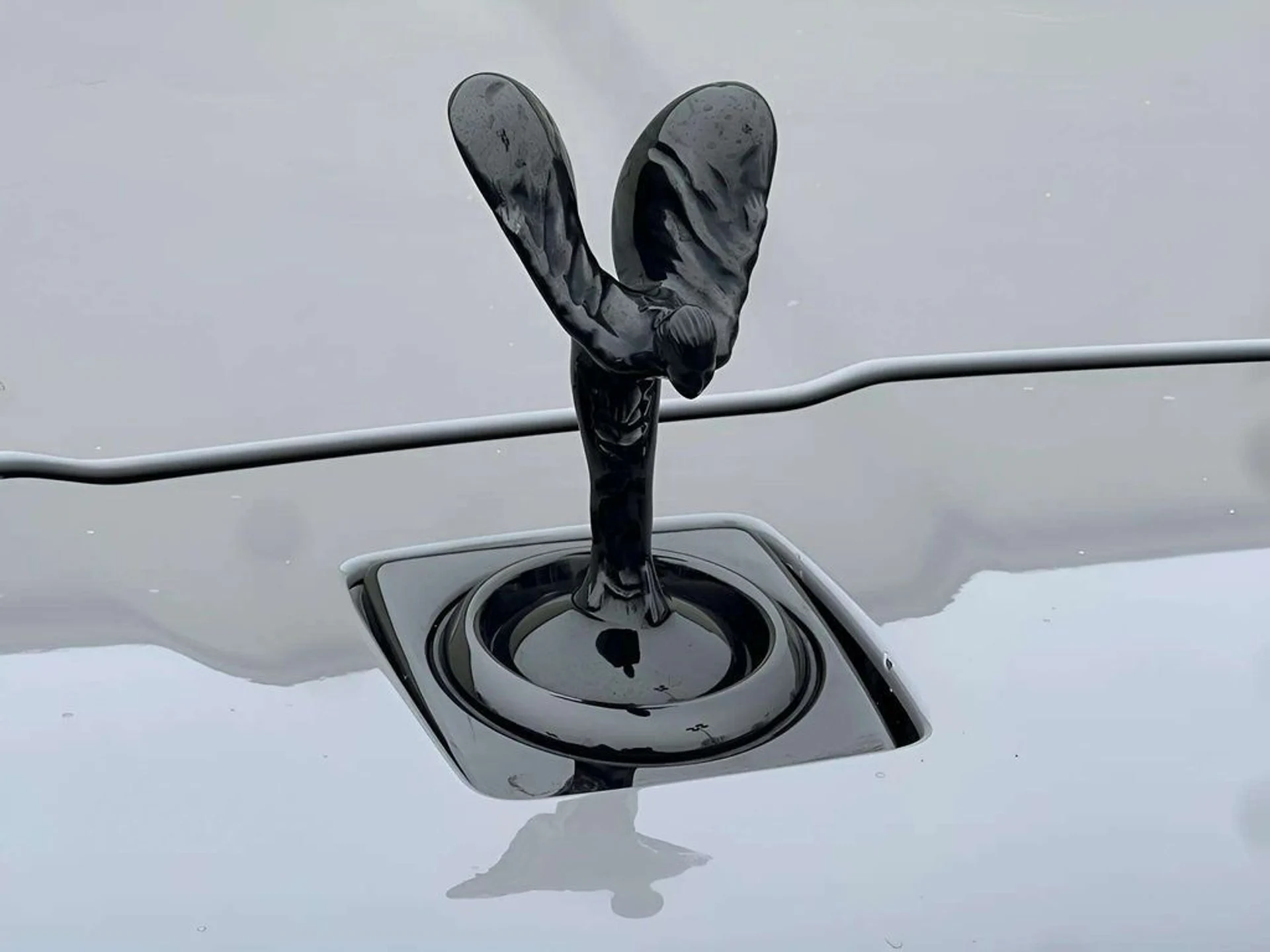 mph008_2580937725_wcdlwzcweovu1ruwupz8nbtxzcdr_347e6b0897