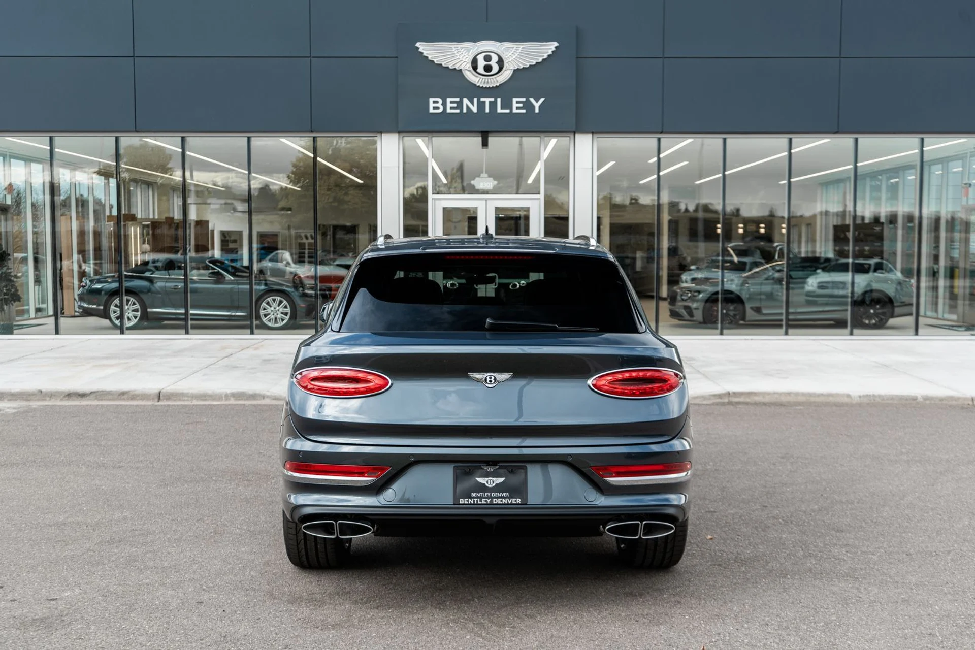 mph008_2591723247_cfa79e97_6dd0_4113_9877_0293007cf31e_00e3c1f6ef