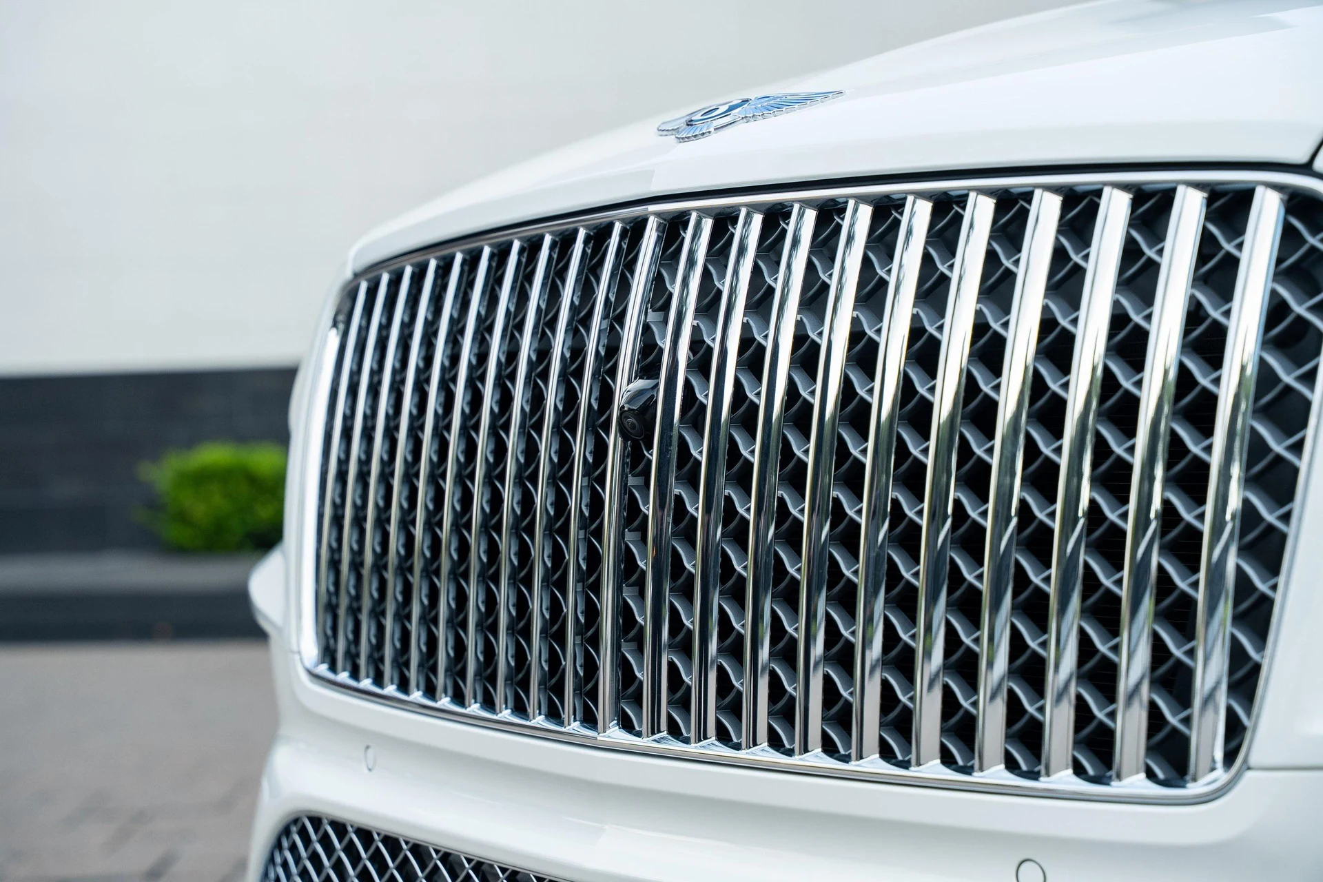 mph008_2606030297_442093803_689aca31b01227cfeeaaee94_114417458c