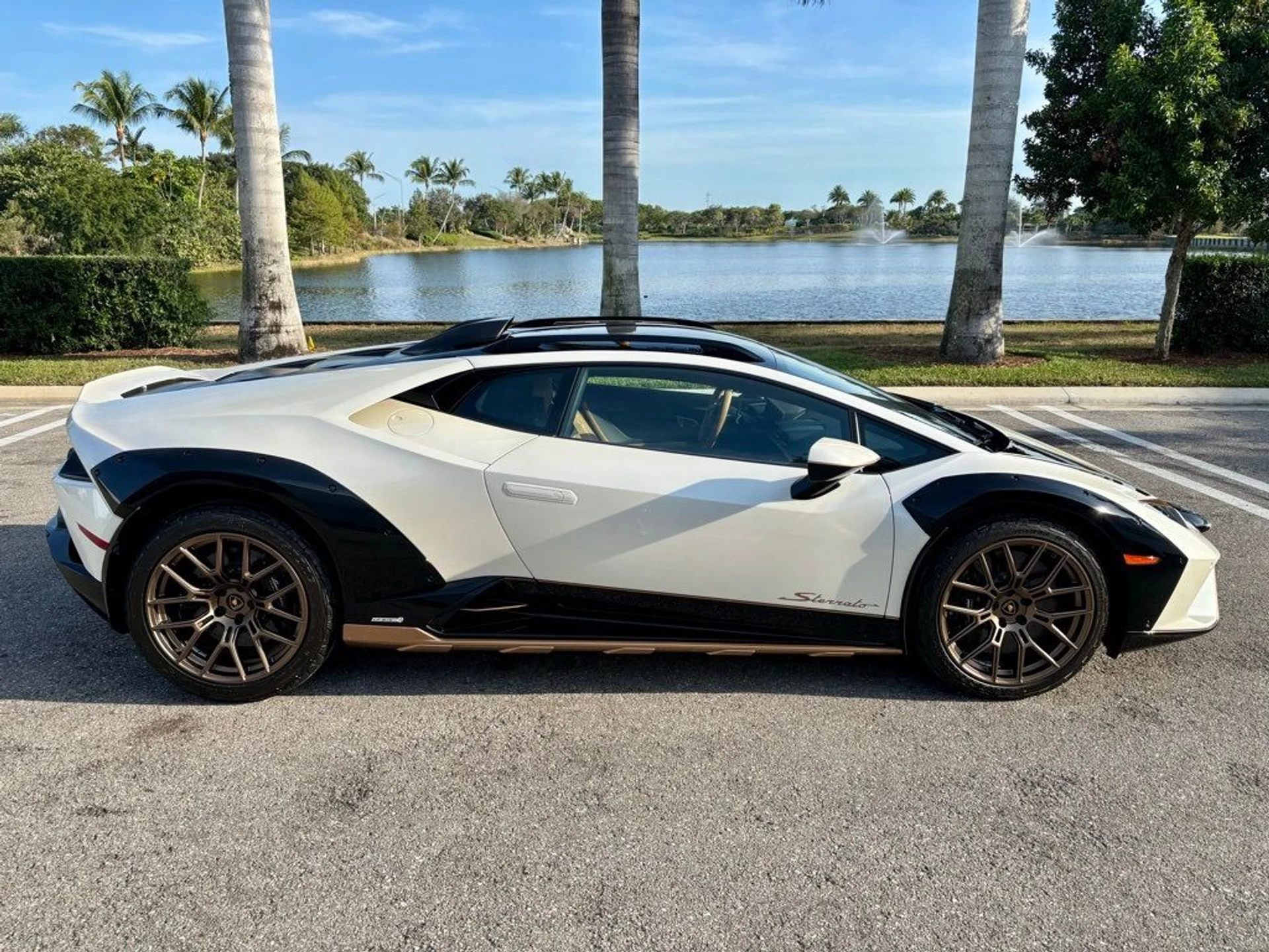 mph008_2616370770_09b2aada6f5e983a51079ee2b1e31330_6b05da80ae