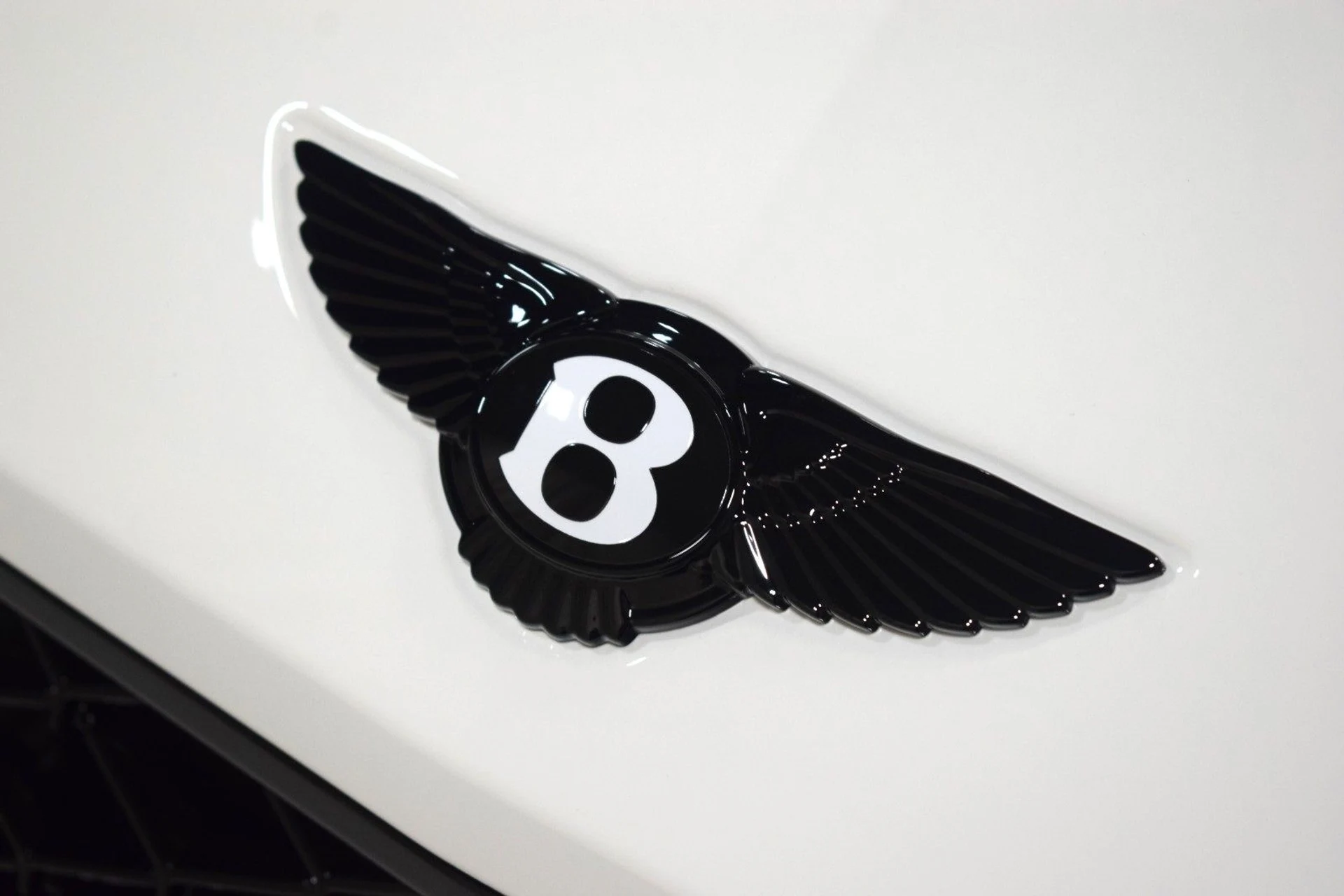 mph008_2626496424_9bd1b744dbadbbf45d2a544acb70ff01x_bf3967e405