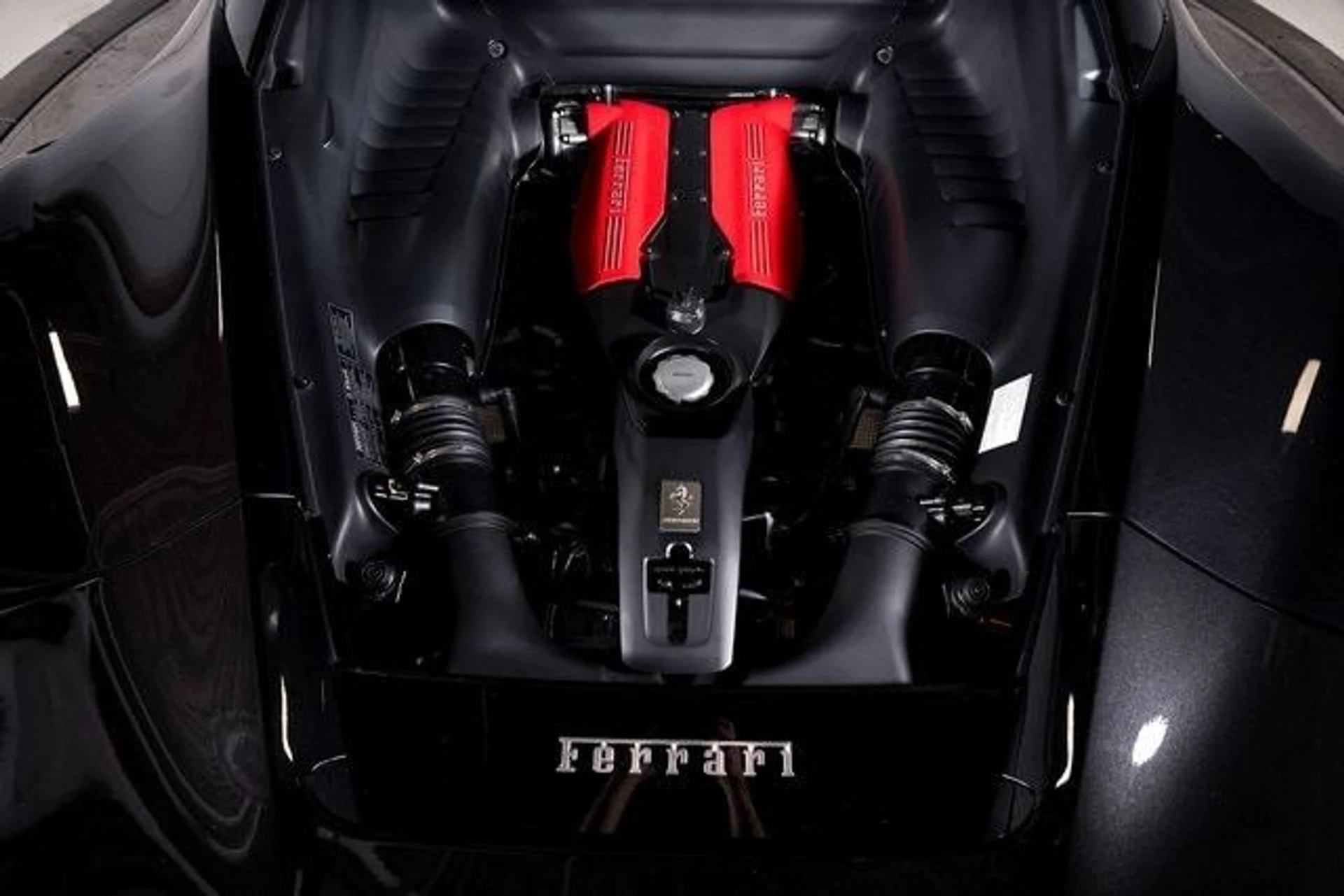 mph008_268497291_65603fdae145f6825bf498ae840e5a22x_0280029e41