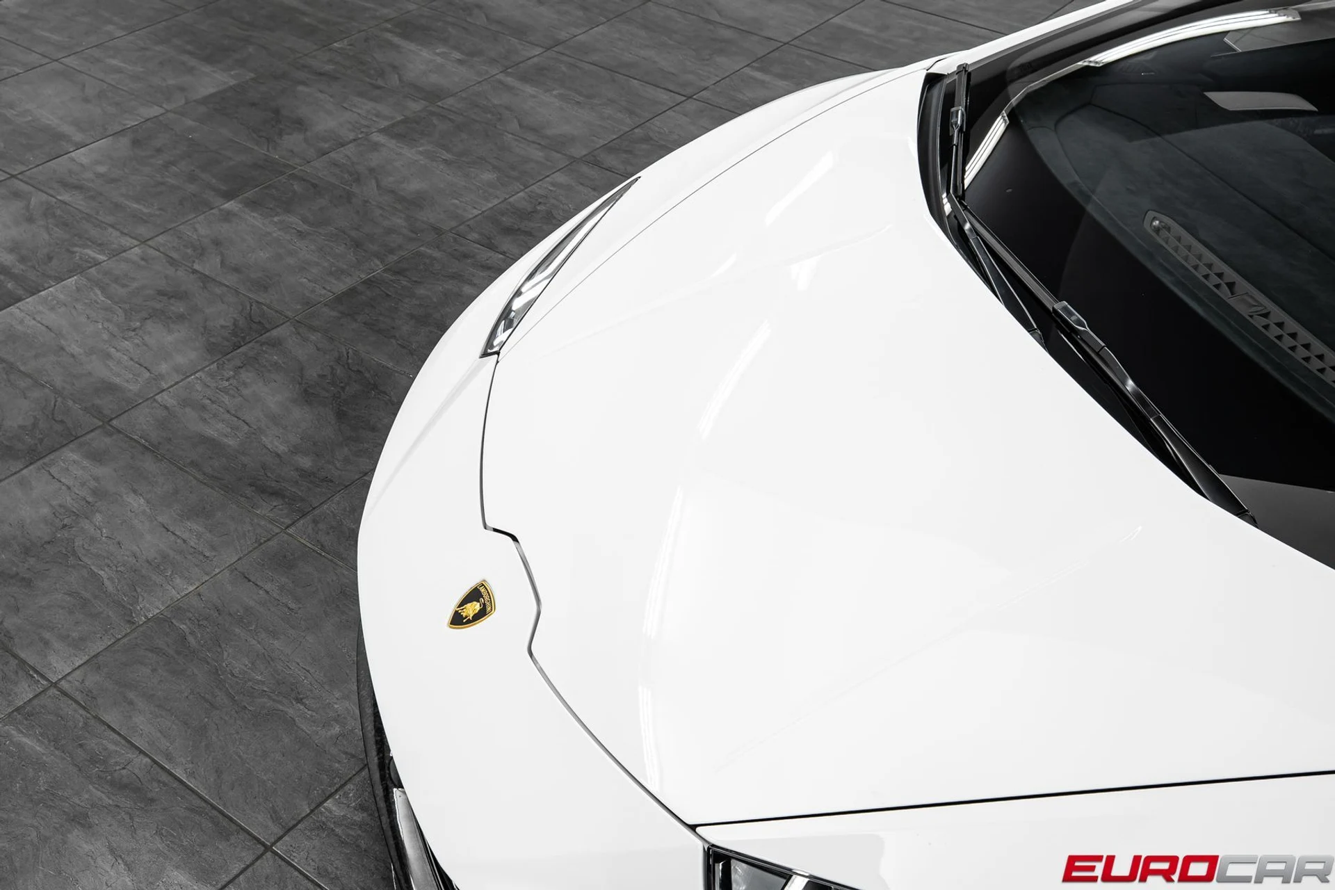 mph008_2697177226_4ae0f330_c393_41da_a3a7_2333faf4c601_88dad202b0