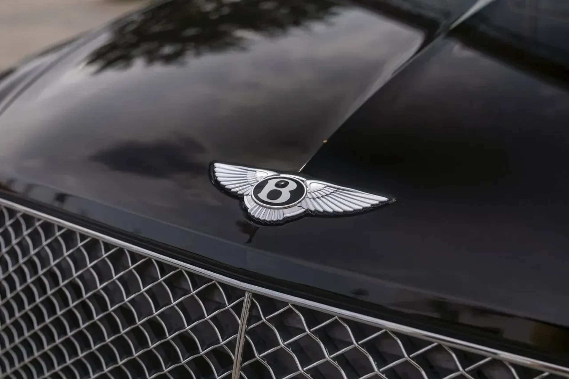 mph008_2734557367_c1a54d4785de49149bbe7b59ebab3f7d_eed742571d