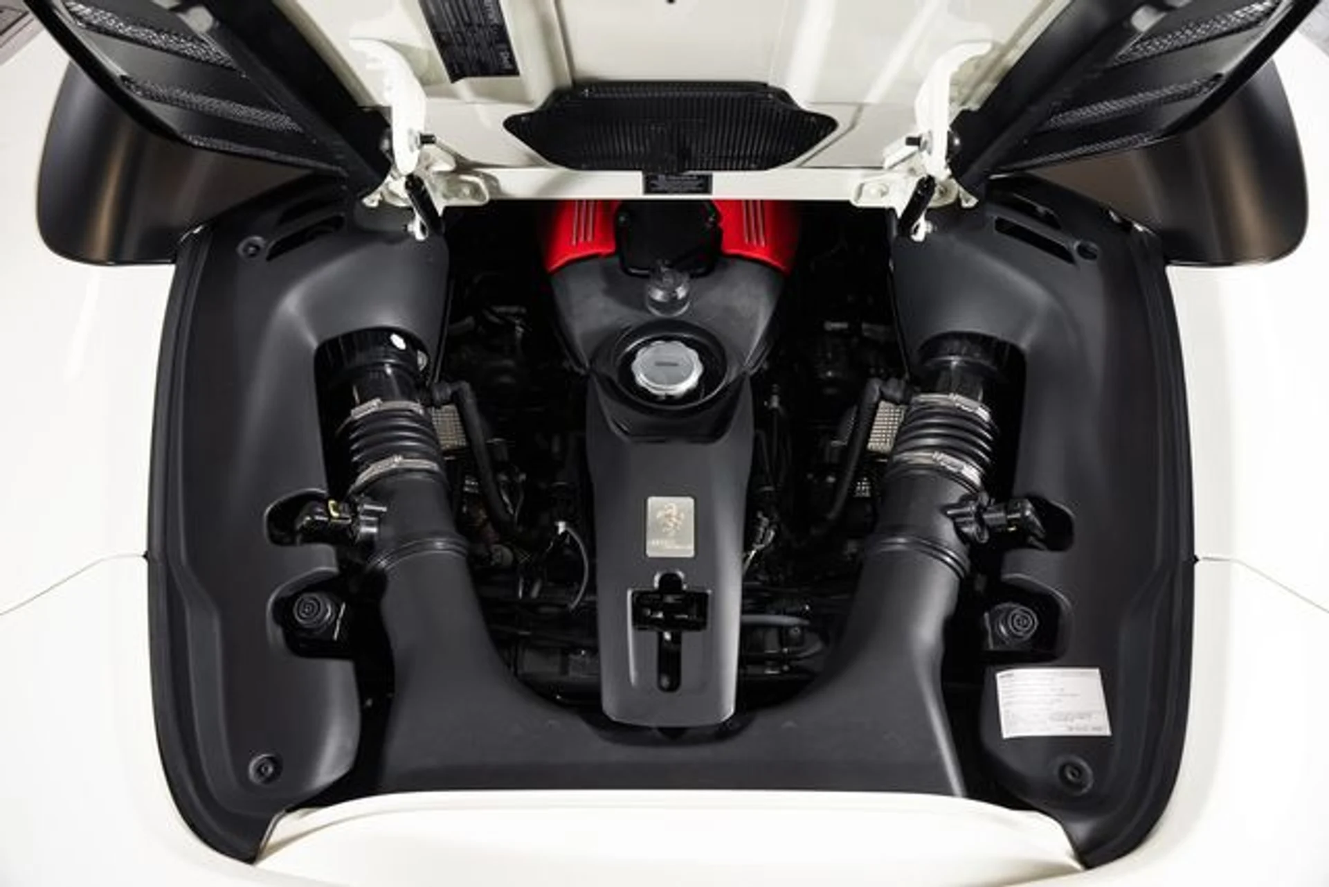 mph008_2785166414_09244696d74fdec41ca53811bacf62d1x_51c8295ad4