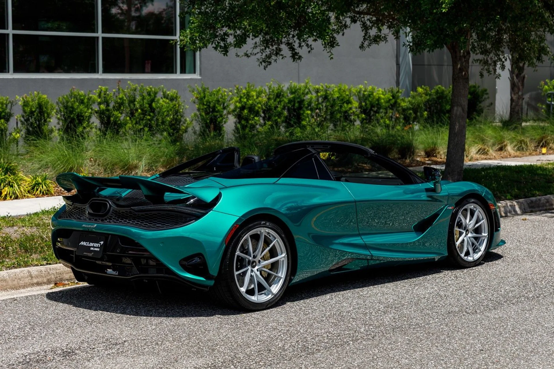 mph008_2787985738_678_p9_l_198bfddb9a