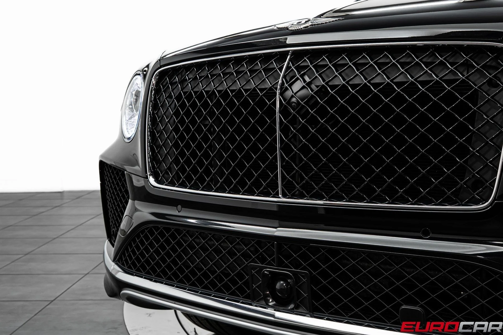 mph008_2792487784_image_9_06e0297cf5