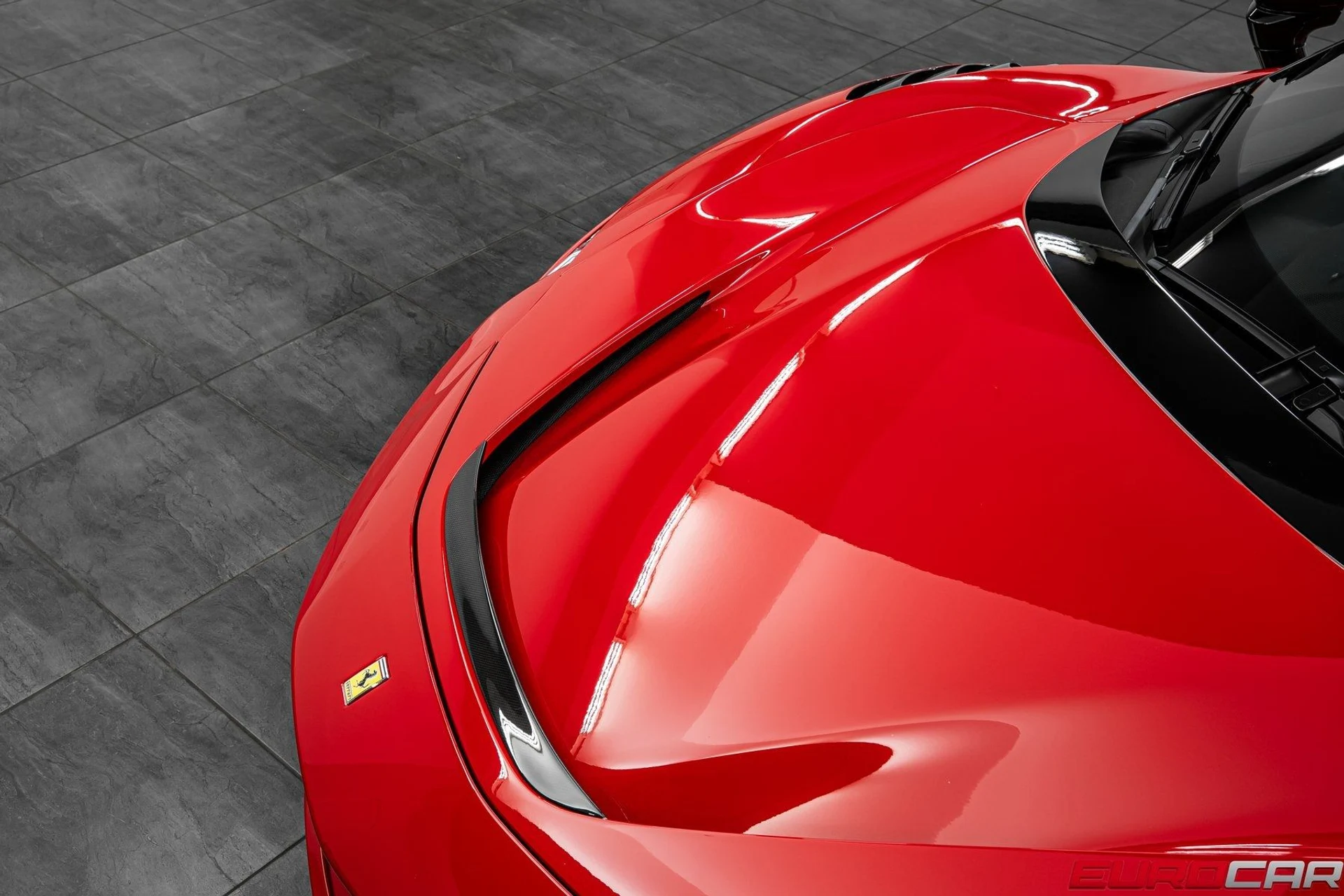 mph008_2807674973_image_9_46876c007b