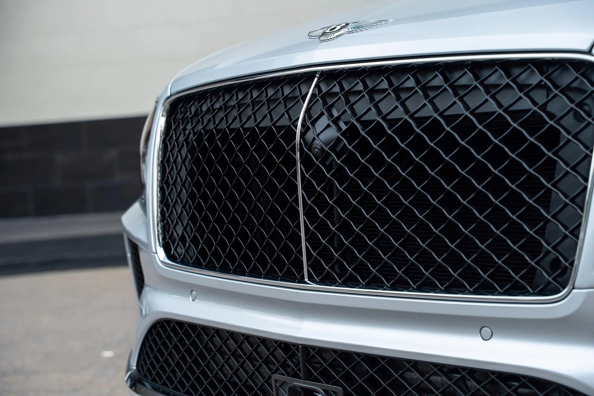 mph008_2839762831_470962005_69254bae4f45499275381068_e54cef2458