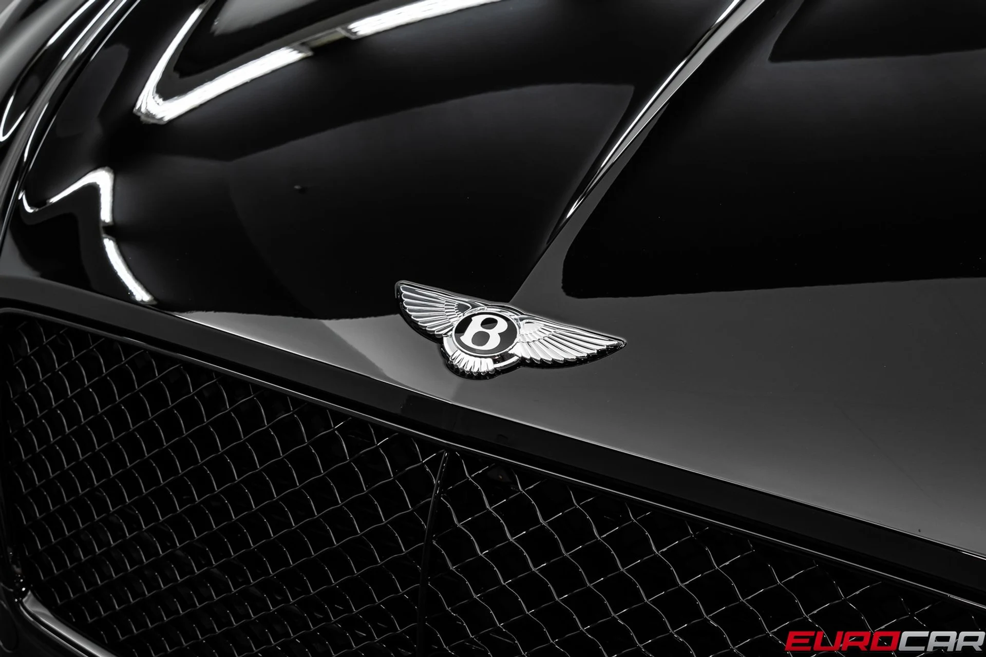 mph008_2884103284_7c6d9315_86e8_4bd3_af18_9a1827d8edee_513719924b