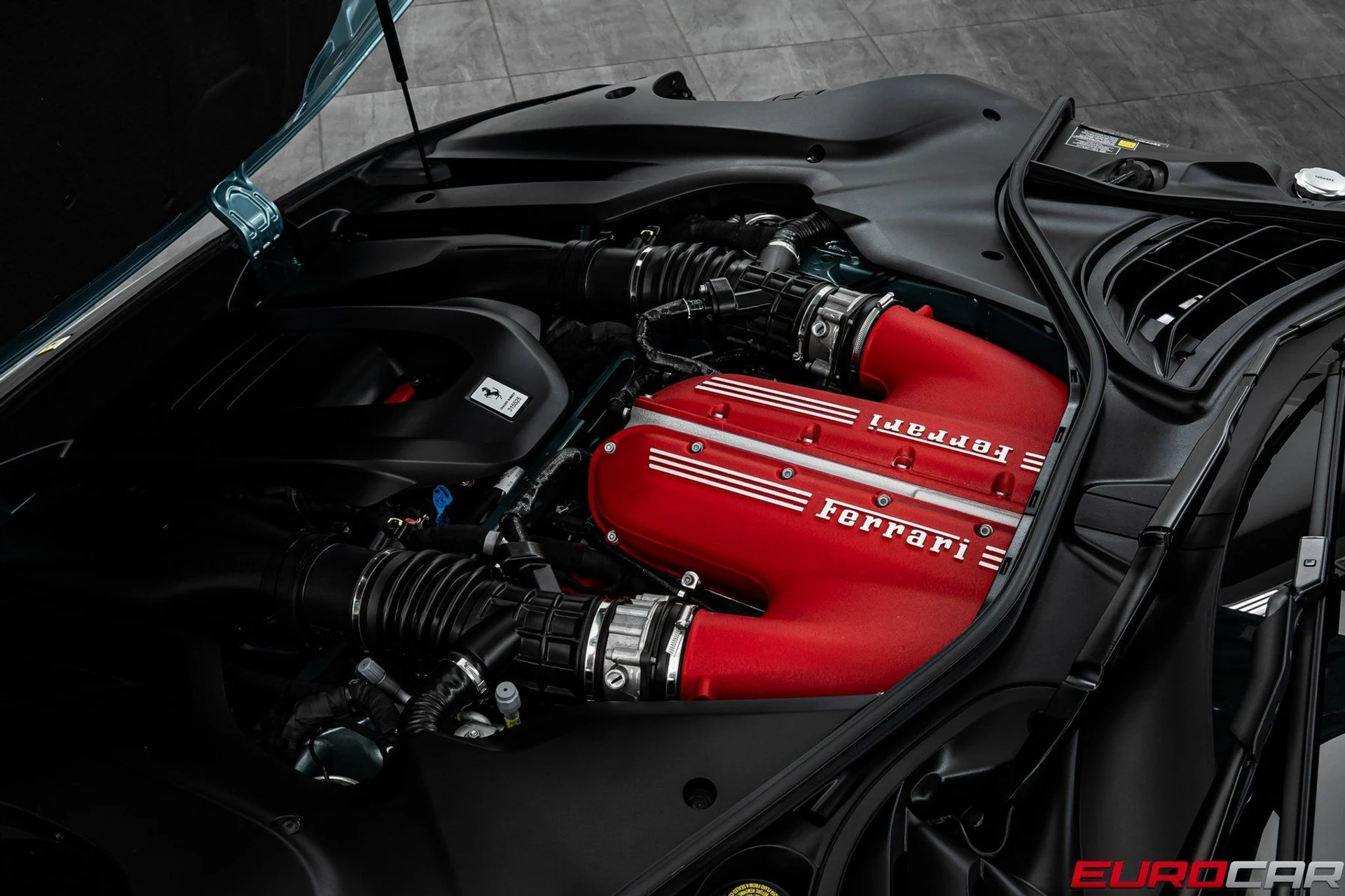 mph008_2903744828_image_9_70363f28aa