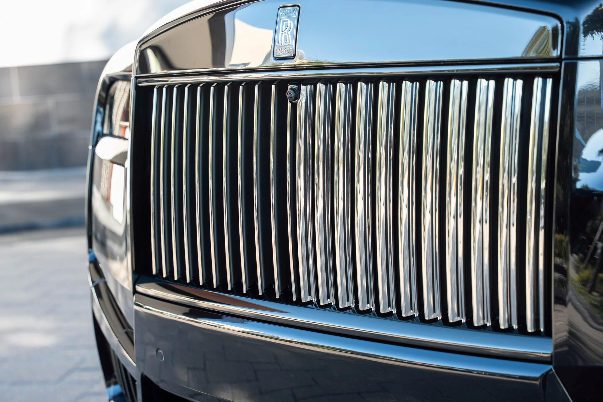 mph008_2903935892_465211305_68f075cf1a22d42ee43446b7_1f9054d56b