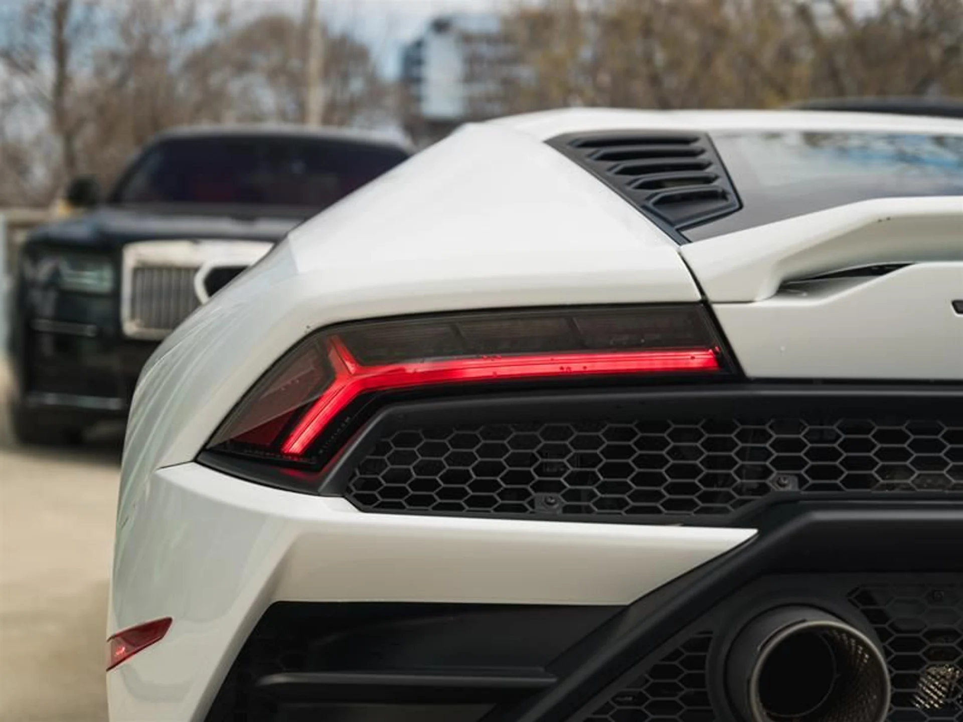 mph008_2917754316_zkrheyly_3c3a3c5ce8