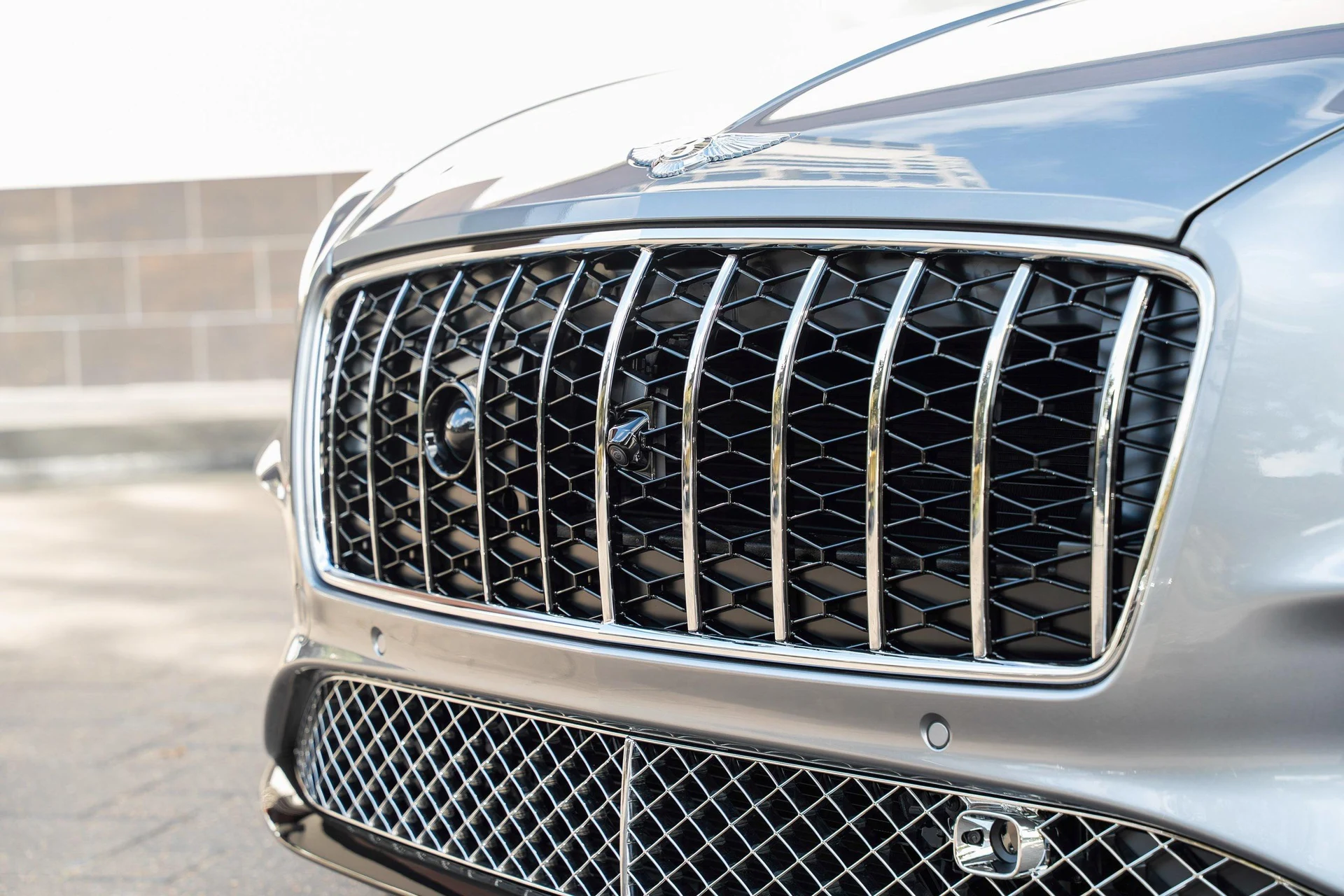 mph008_2919986535_470961998_691debe47425967942f2fec1_a753ae23c4