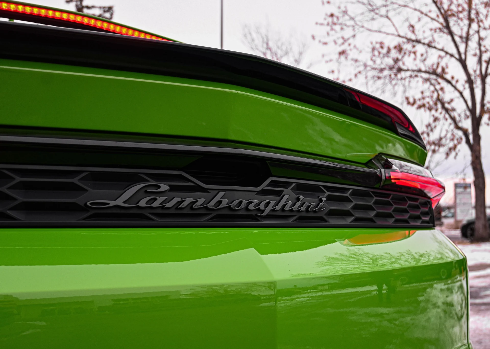 mph008_2936431849_c9cb543f_811e_4ca6_b731_754663e5469a_df7a64eb50