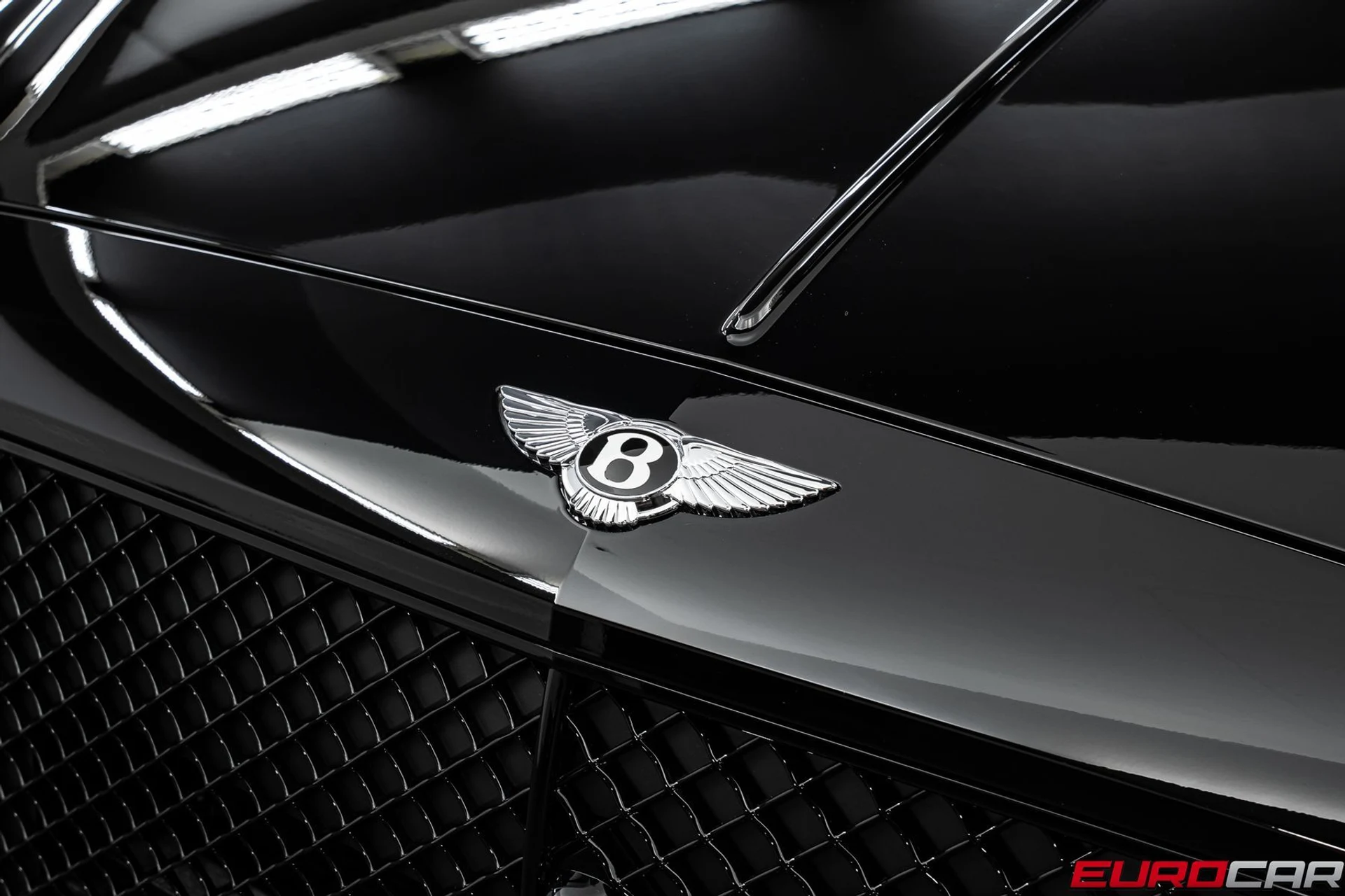 mph008_3003926960_49d76b21_7453_4598_9b4f_672ba26bd8d5_72944de88b