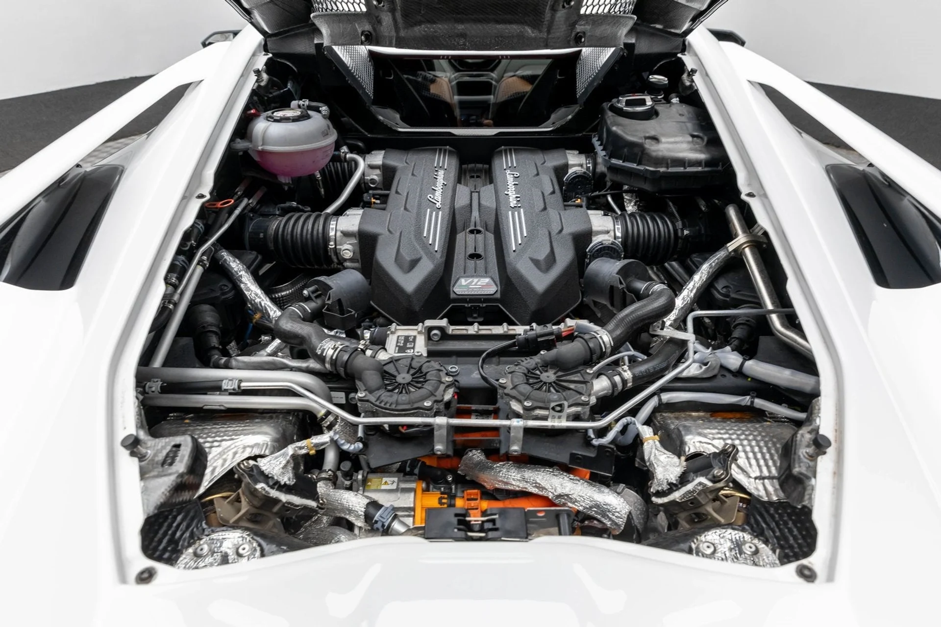 mph008_304140434_9_4bb5183197