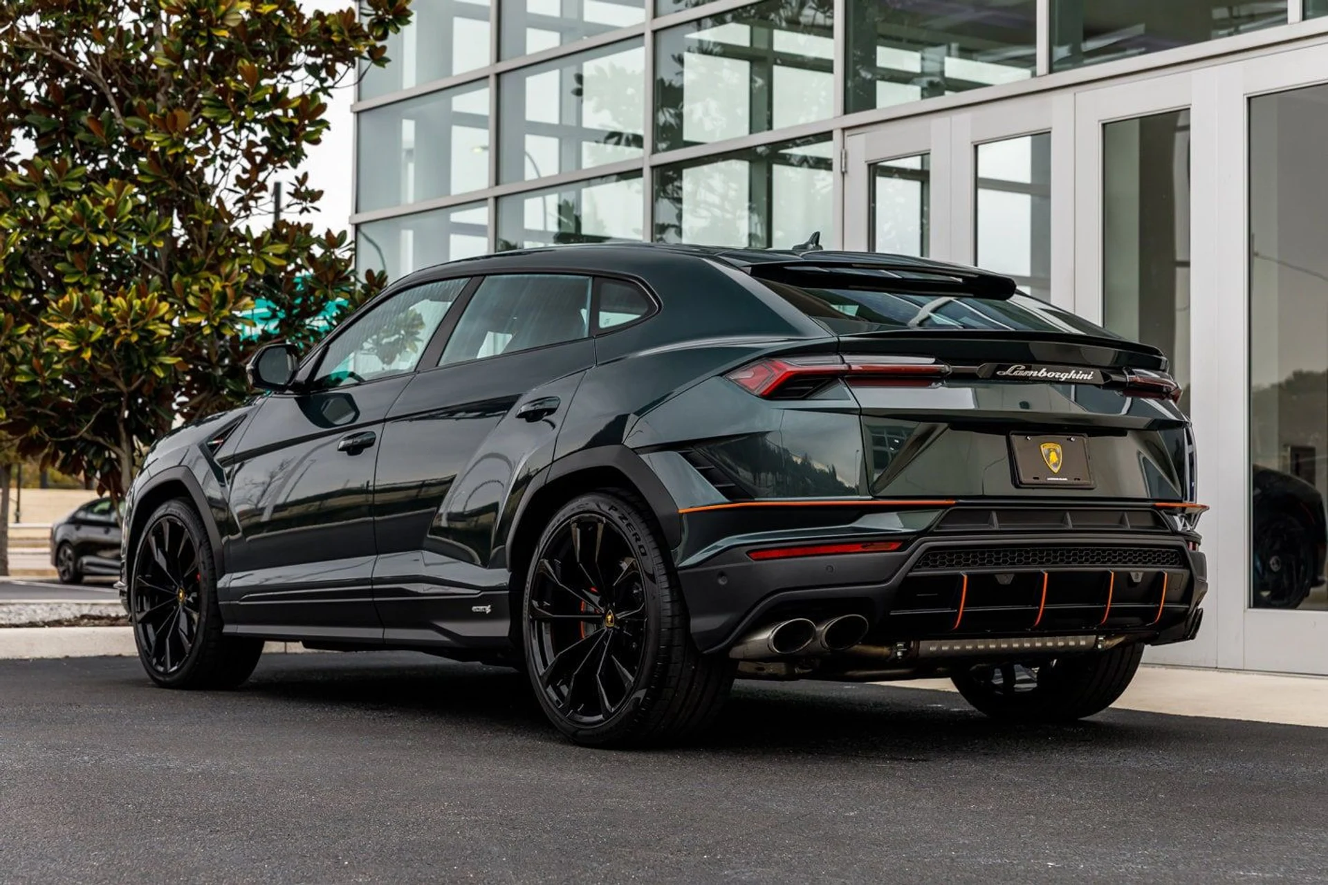 mph008_3070314912_ef2674d784152e3848458b2190e48ef6x_6292959934