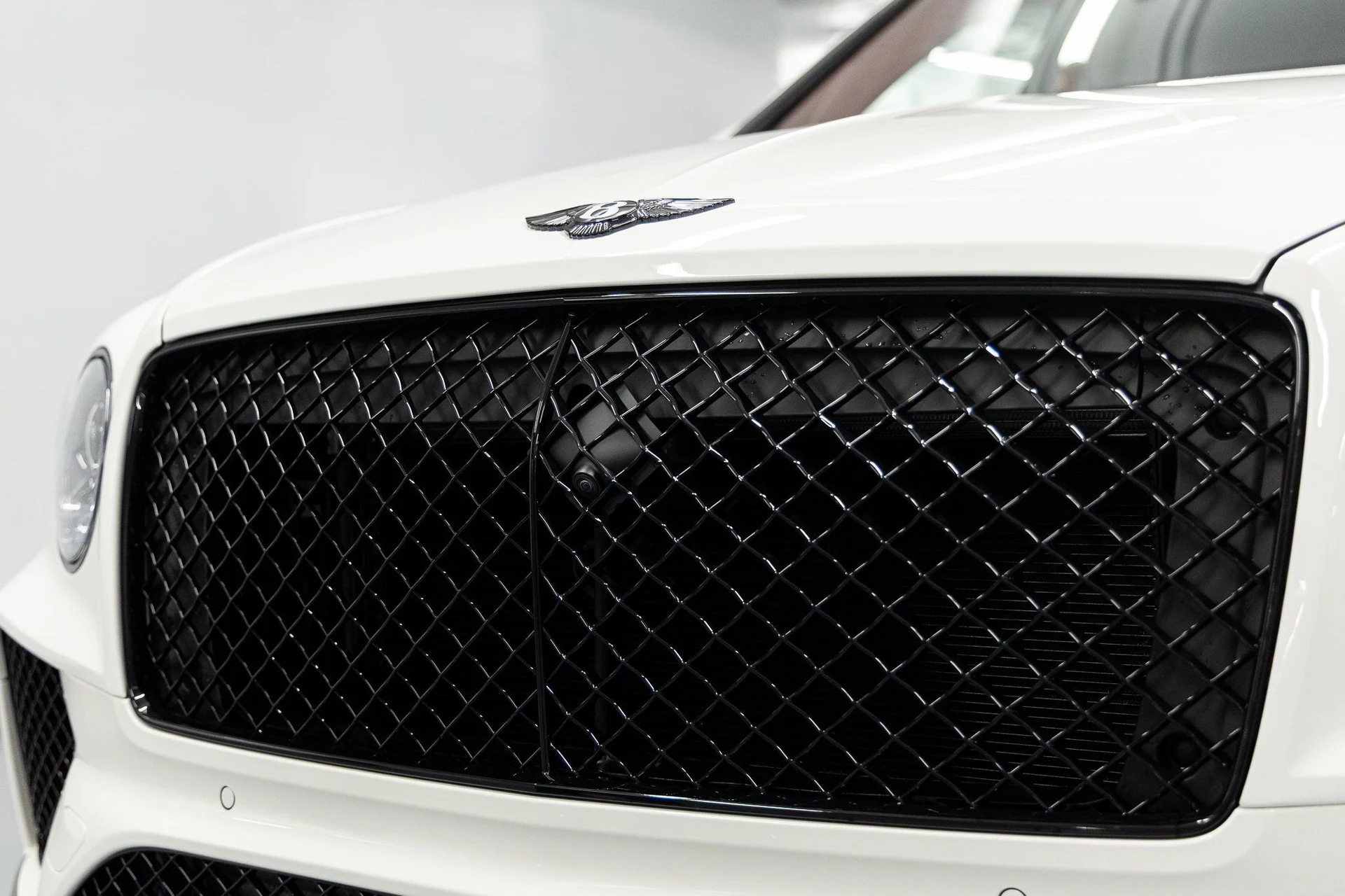 mph008_3072926125_88368bc195036aff29b8907a2ff37980x_130136ba2e