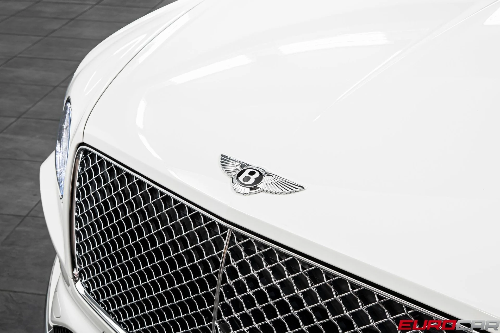 mph008_3073721540_image_9_9e1f88c3b0