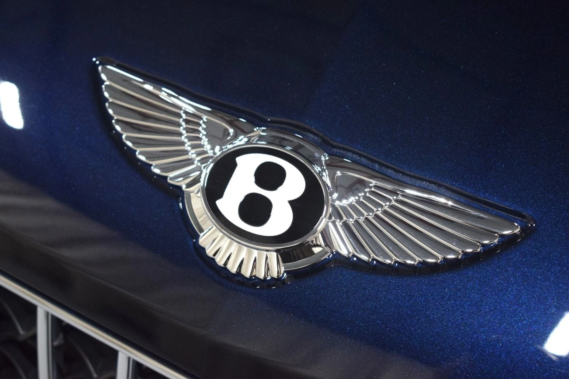 mph008_3086134959_d45b1dffaa49aade4b0c817b370b9713x_8312d98542