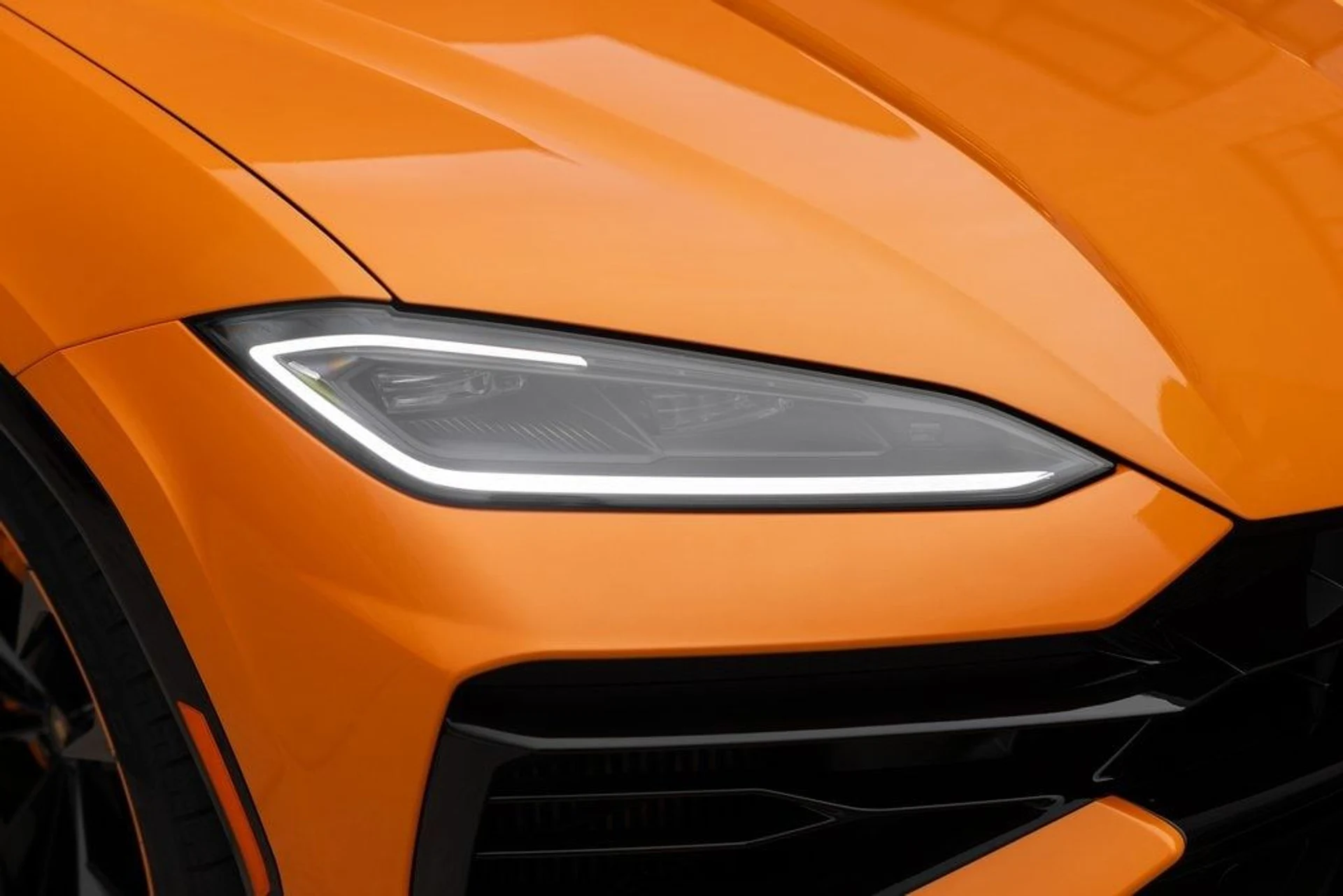 mph008_3112903019_03a5c54c2f0122b6b68744352983226cx_afbe08606d