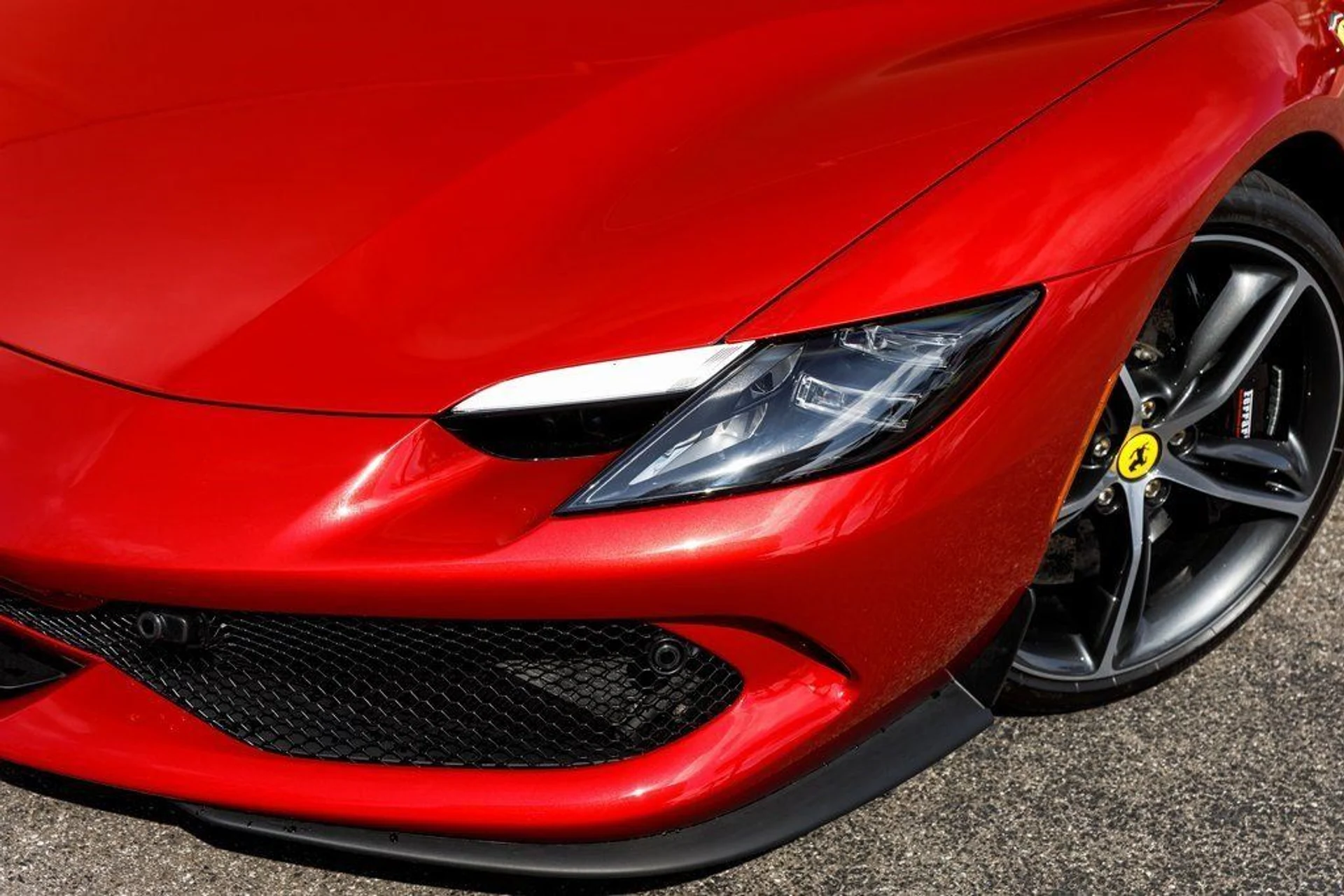 mph008_3133391574_5e49aa0609b7a62a396e1aa199e9eacb_d123591677