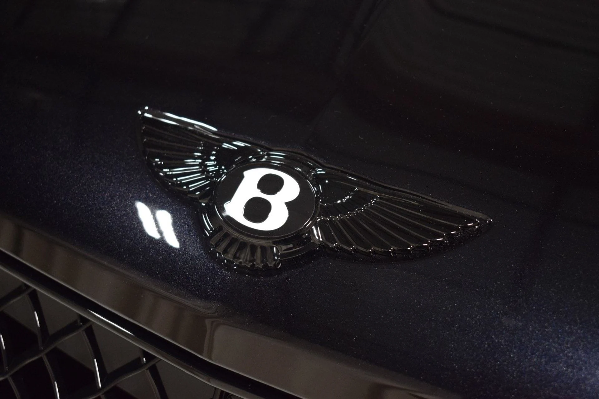 mph008_3141956748_d99e95dac26a8eb9c08a3235bd840ef0x_40ce1585d3