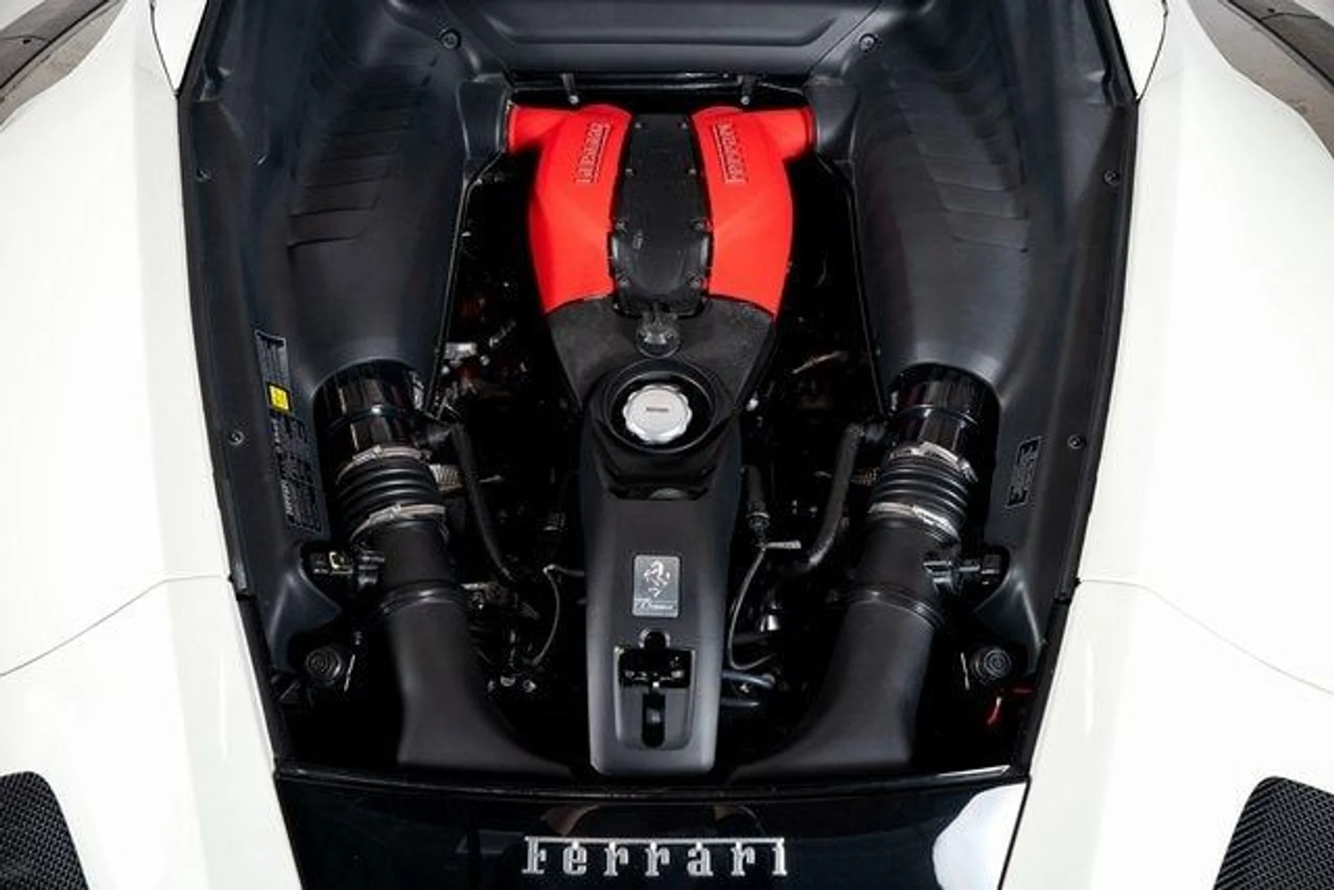 mph008_3166627529_3329ab2810b6f6259e9383596c7189fcx_f3c34a8ef2