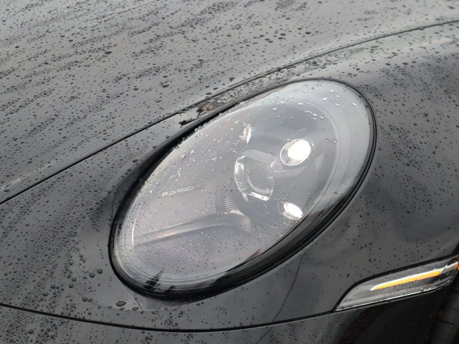 mph008_3175960915_37268571_08714_8683ba2ccc43b9a894acd2cf953550a6_1e429bcb4a