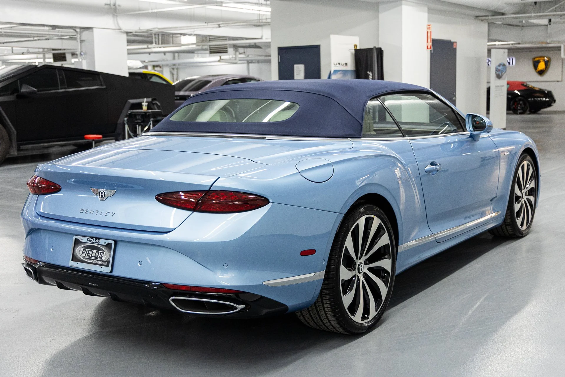 mph008_3178373601_c03de12228c7e6710c9d9dc32ceb3369x_a5657e3edf