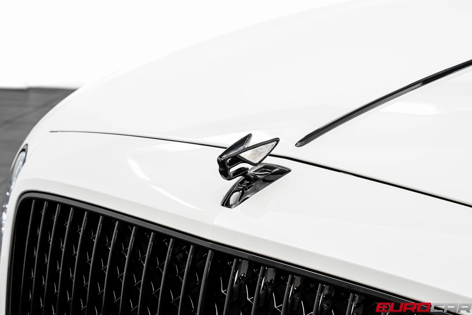 mph008_3270531033_image_9_02b80dd21e