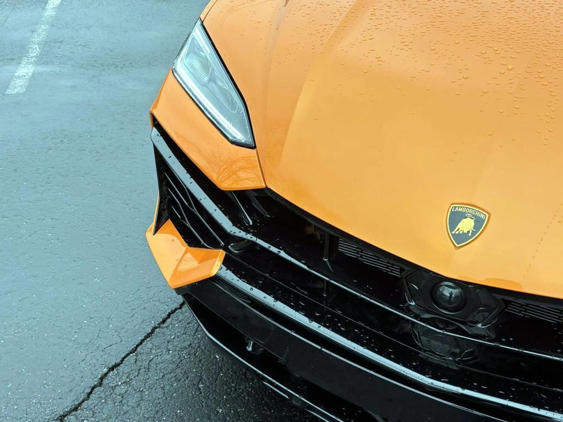 mph008_32853606_bd96ec80c8f0b1a912ca63a10f16871fx_df1953274a