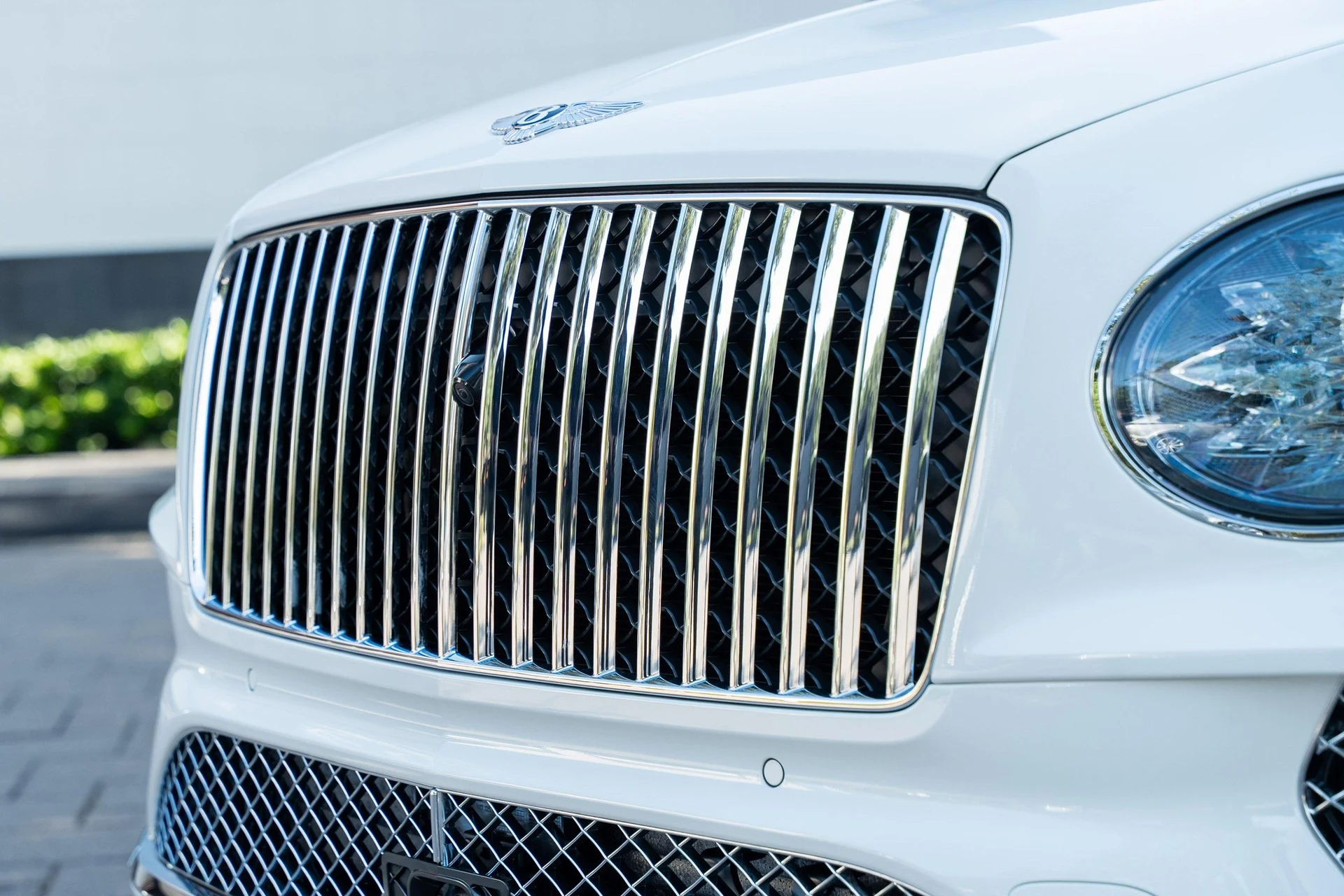 mph008_3326174925_439893873_68933505d11a93082f4d7fd7_893e6b8d1d