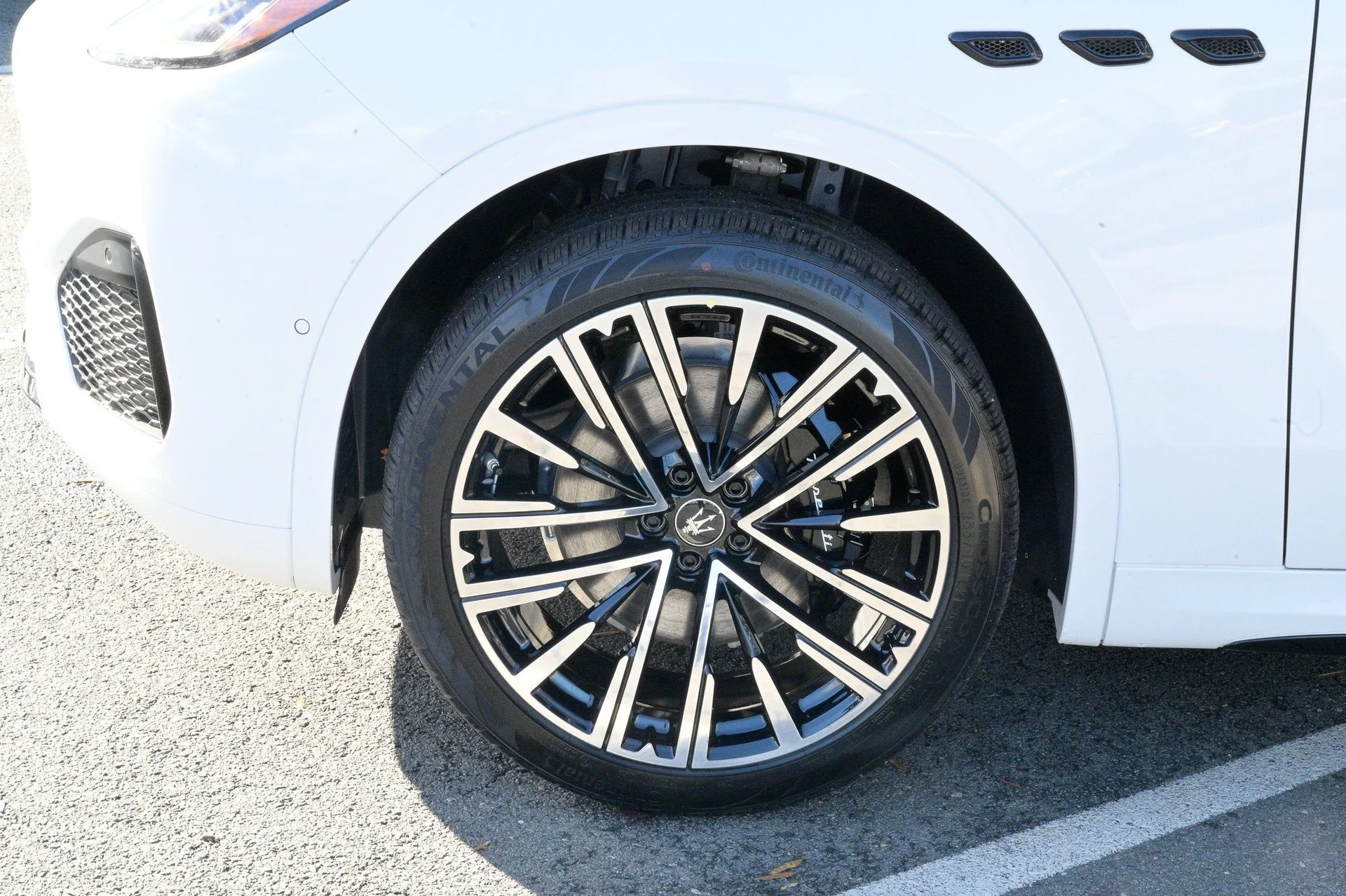 mph008_3327458889_d98b9b0336f14ba09e75f278a67f1b1d_5c51af77e1