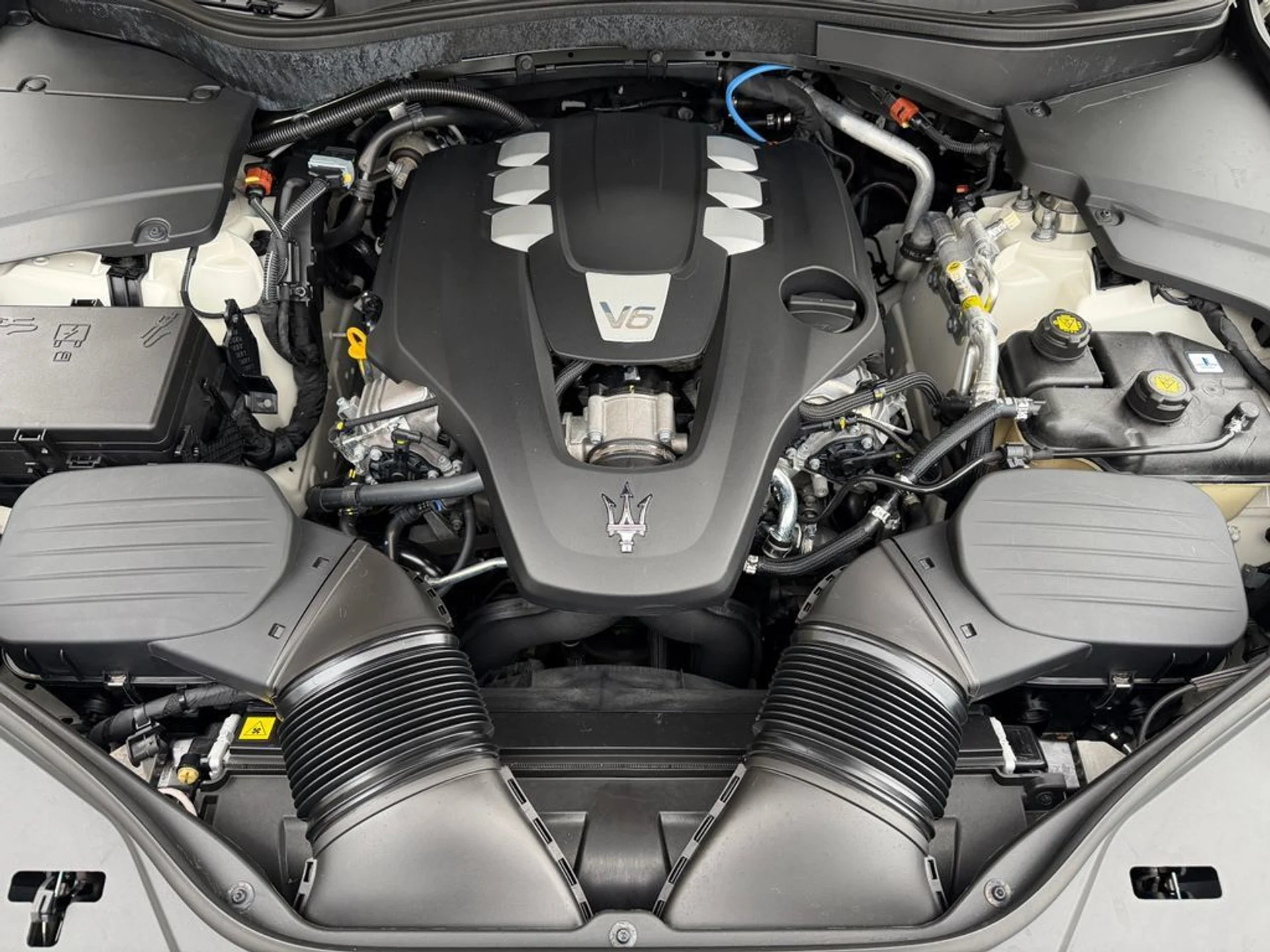 mph008_3348850200_098fcd95db24430b9d4a6a1e2bebfa38_b793431f25